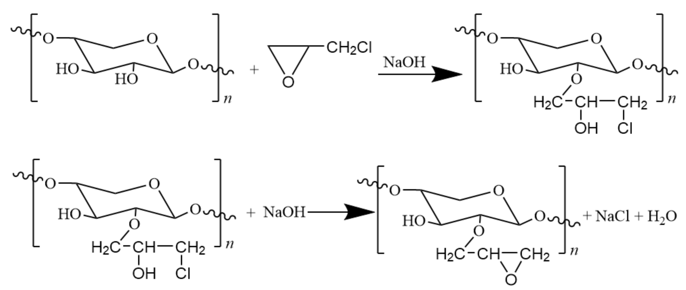 Polymers 12 02199 g002