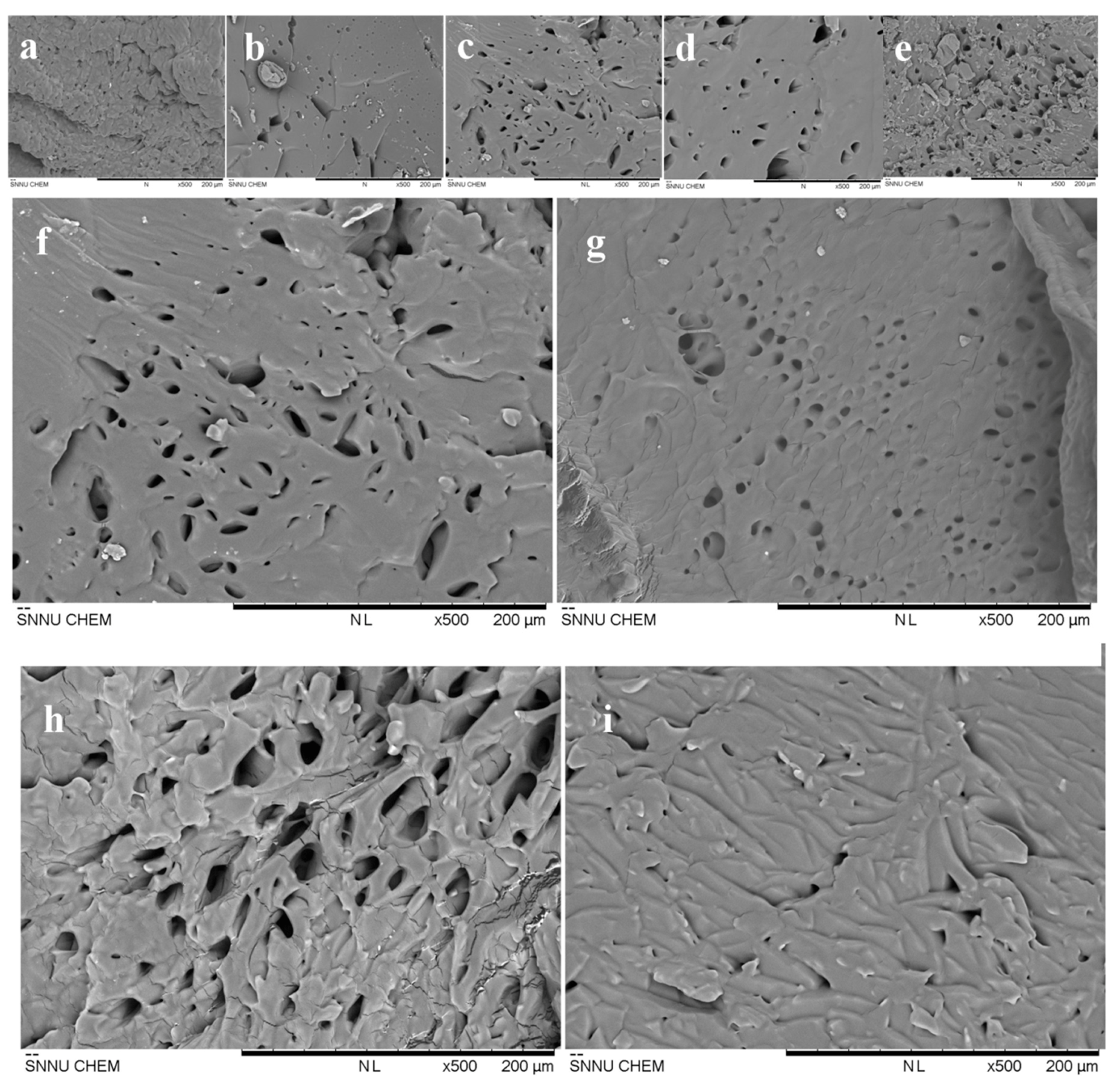 Polymers 12 02204 g005 Polymers 12 02204 g005