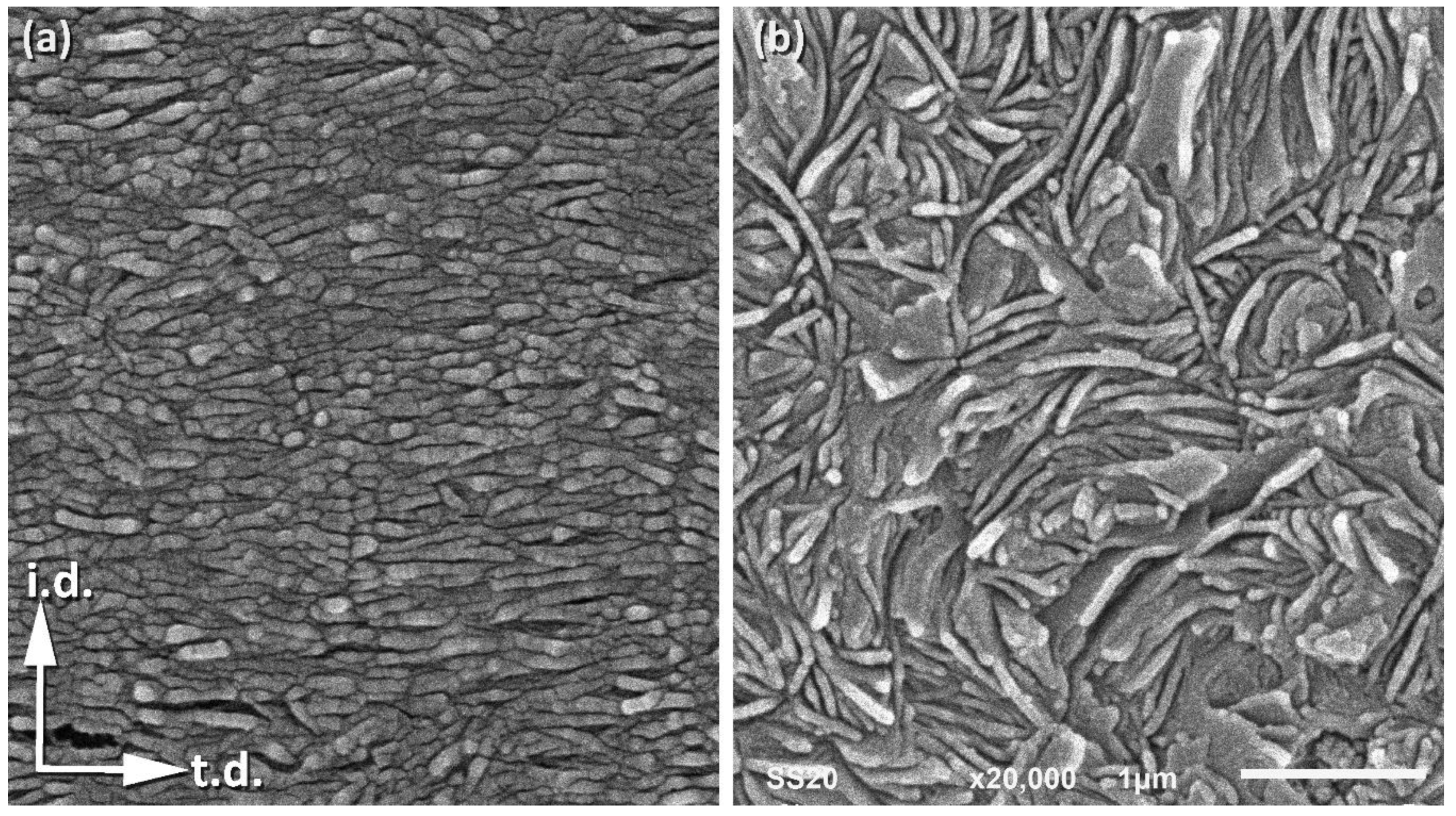 Polymers 12 02208 g002