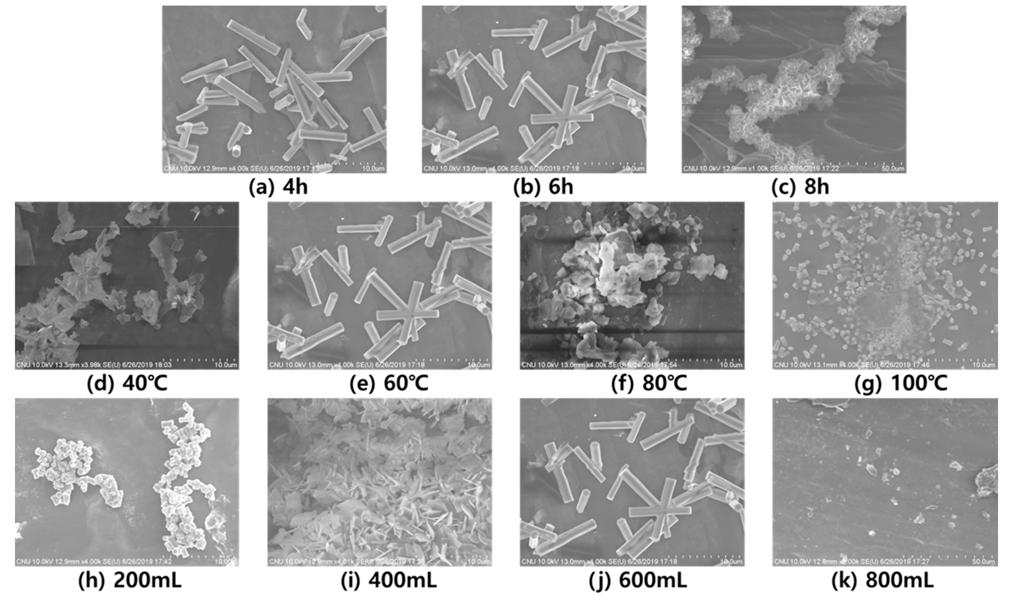 Polymers 12 02214 g012 Polymers 12 02214 g012