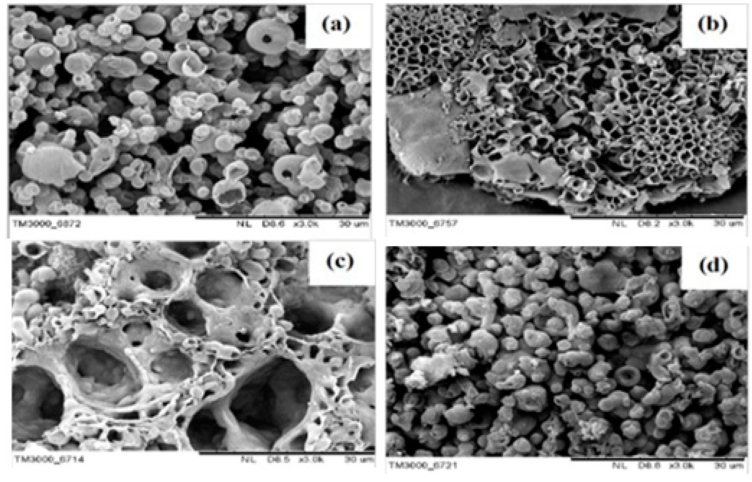 Polymers Free Full Text Polycarbazole And Its Derivatives Synthesis And Applications A Review Of The Last 10 Years Html