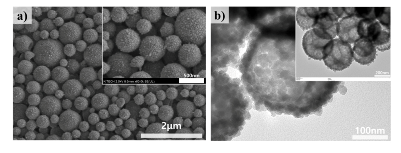Polymers 12 02231 g001