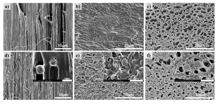 Polymers 12 02231 g004