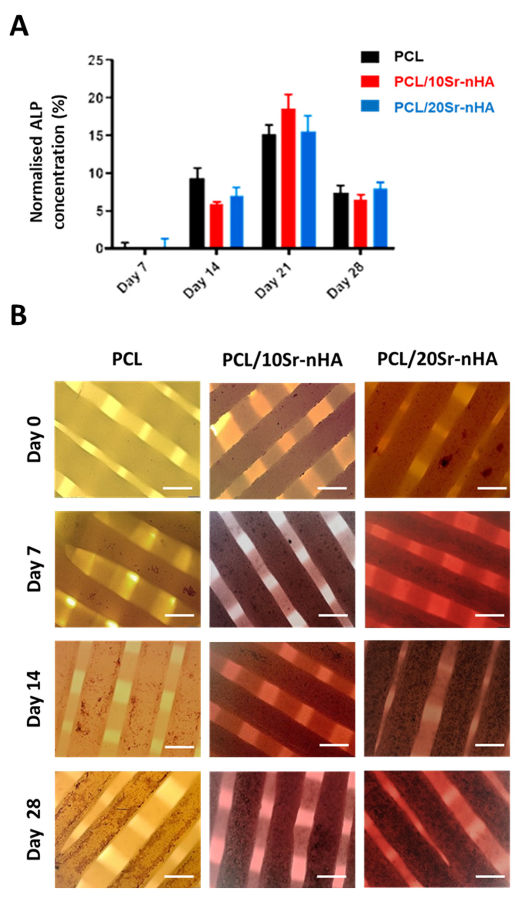 Polymers 12 02233 g010 Polymers 12 02233 g010