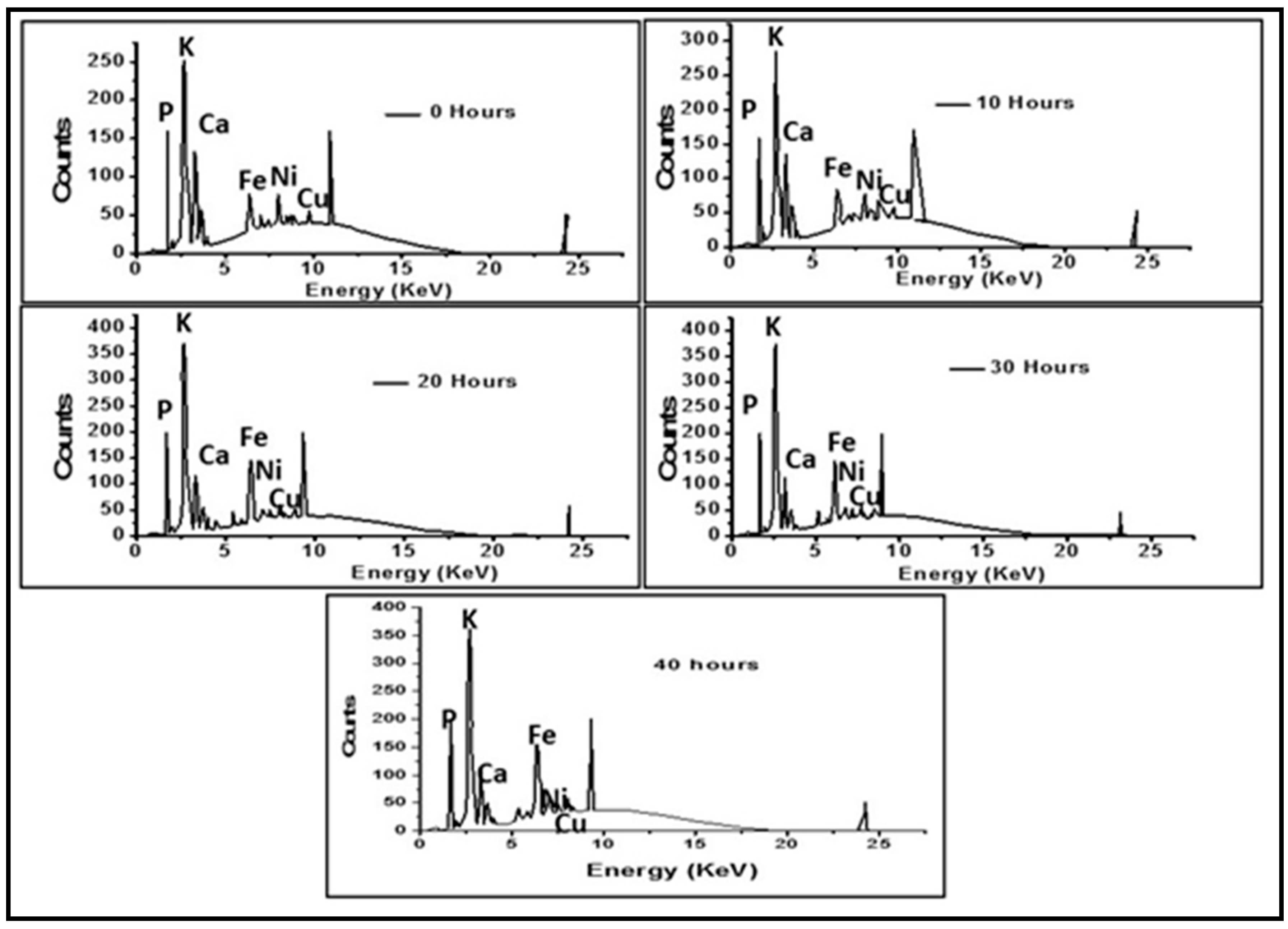 Polymers 12 02236 g002