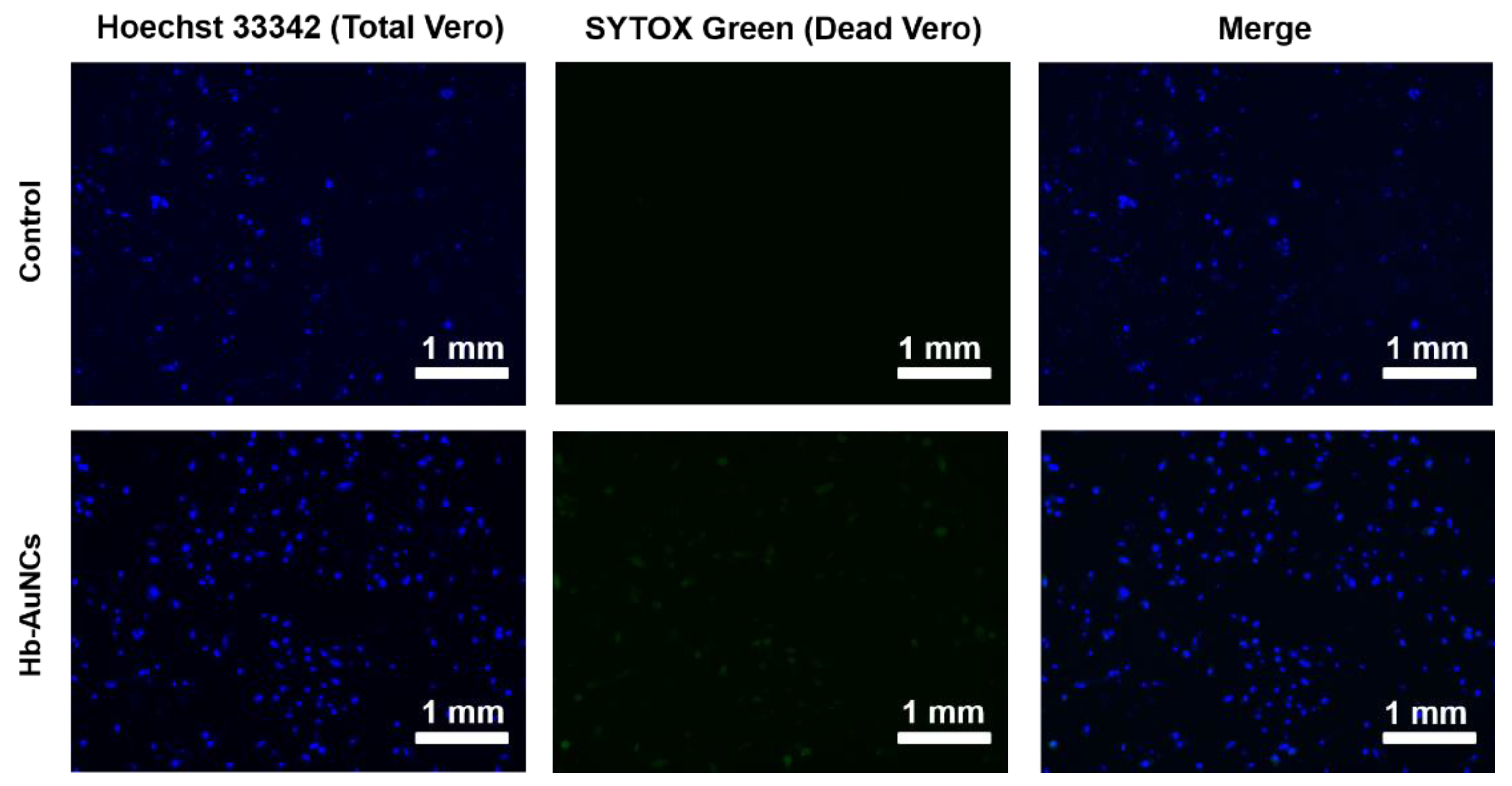 Polymers 12 02242 g005 Polymers 12 02242 g005