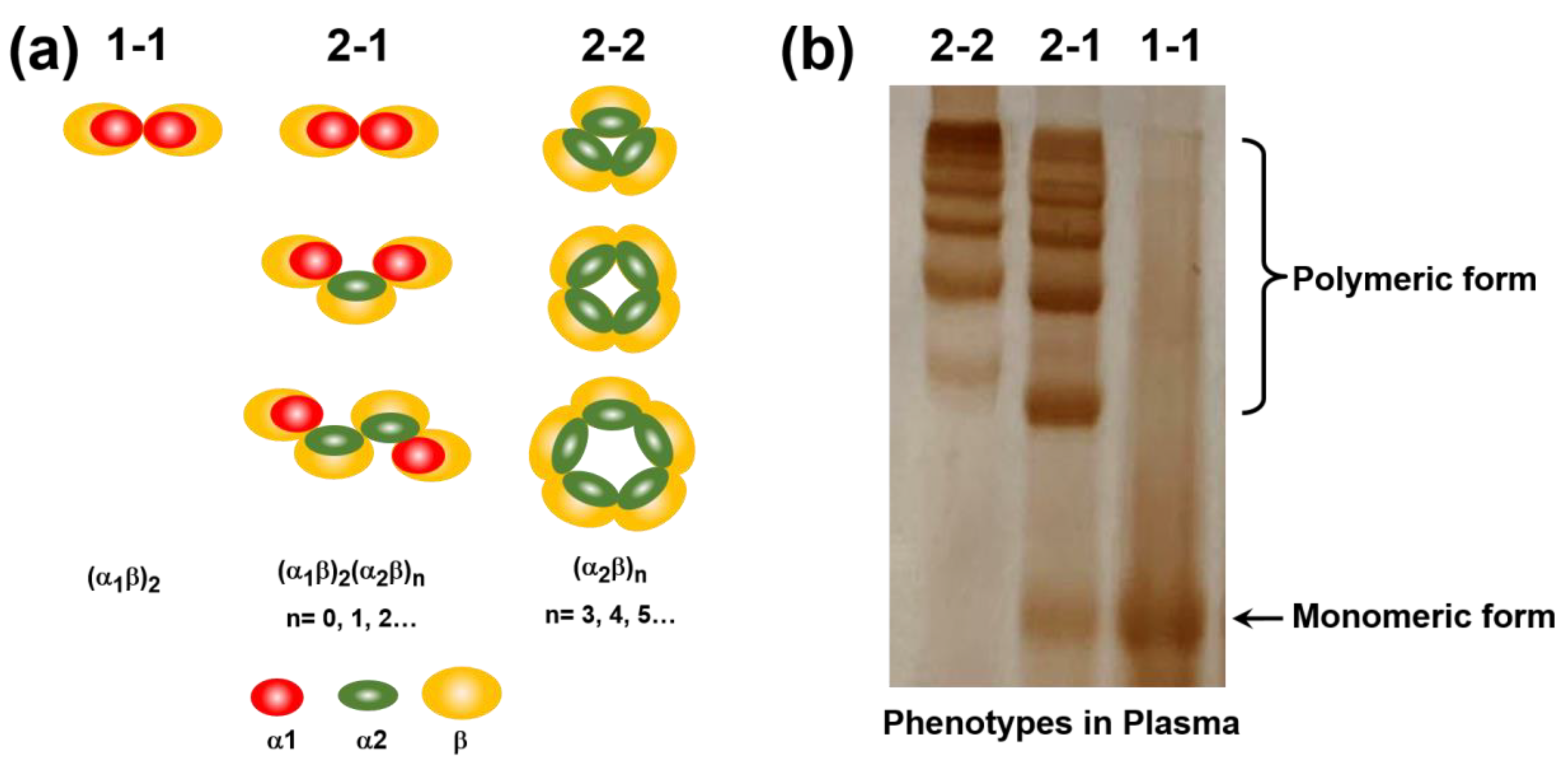 Polymers 12 02242 g006 Polymers 12 02242 g006