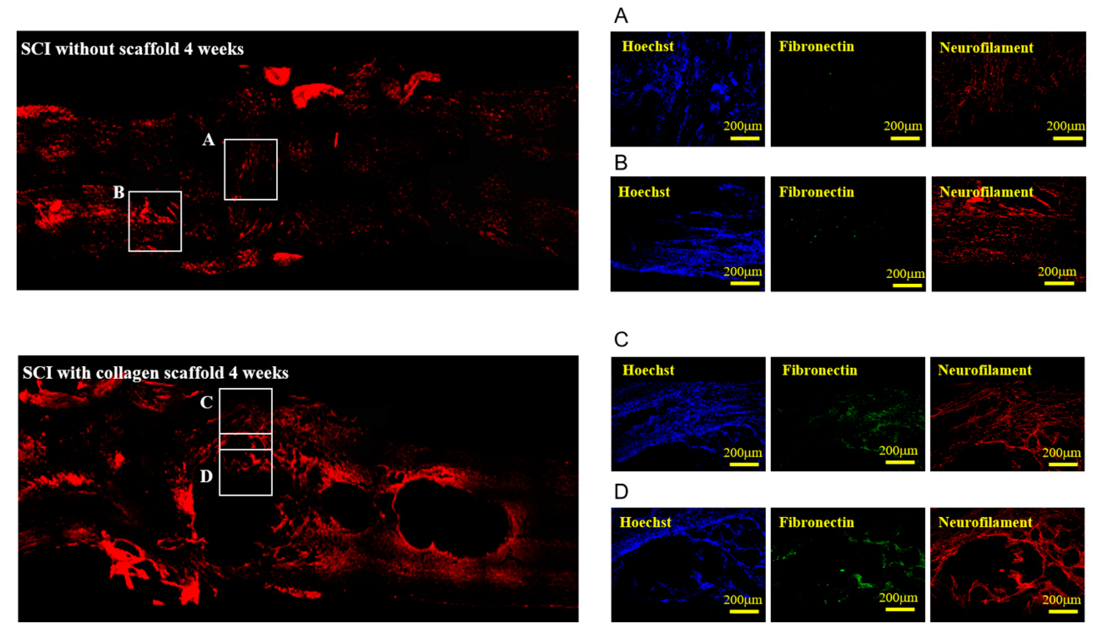Polymers 12 02245 g007 Polymers 12 02245 g007