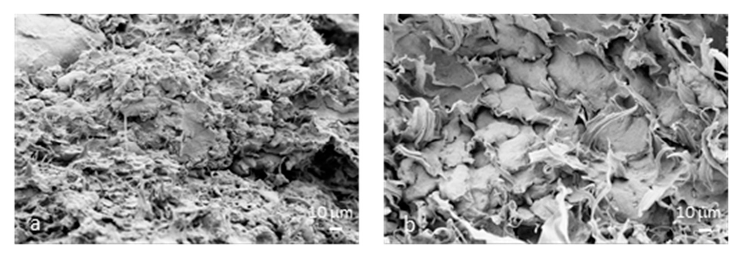 Polymers 12 02248 g005