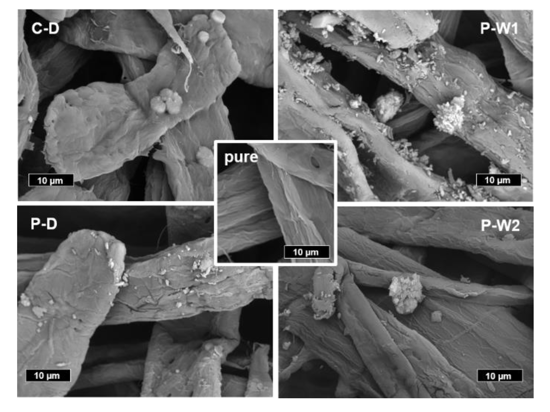 Polymers 12 02249 g006 Polymers 12 02249 g006
