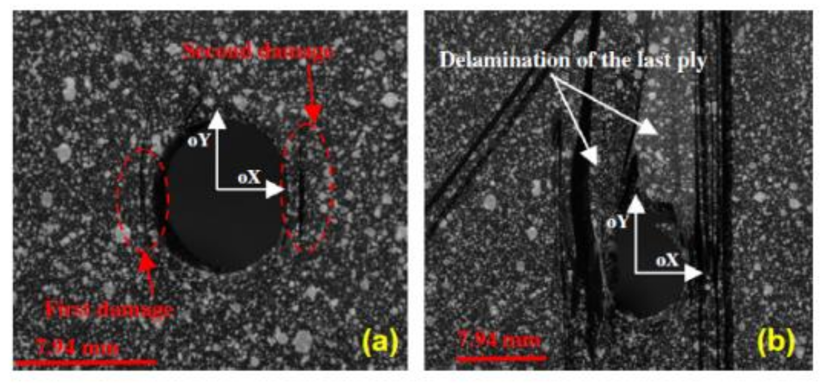 Polymers 12 02252 g026 Polymers 12 02252 g026