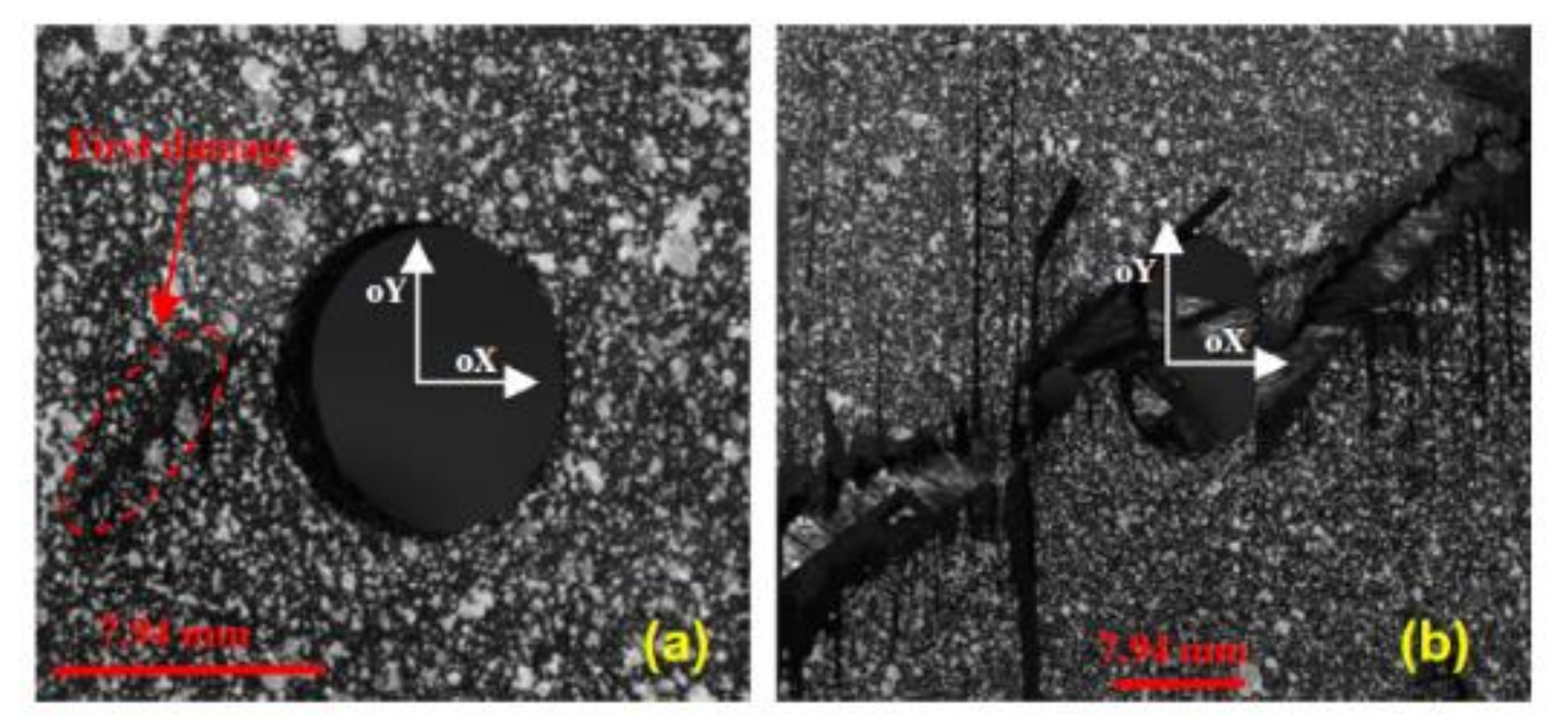 Polymers 12 02252 g027 Polymers 12 02252 g027