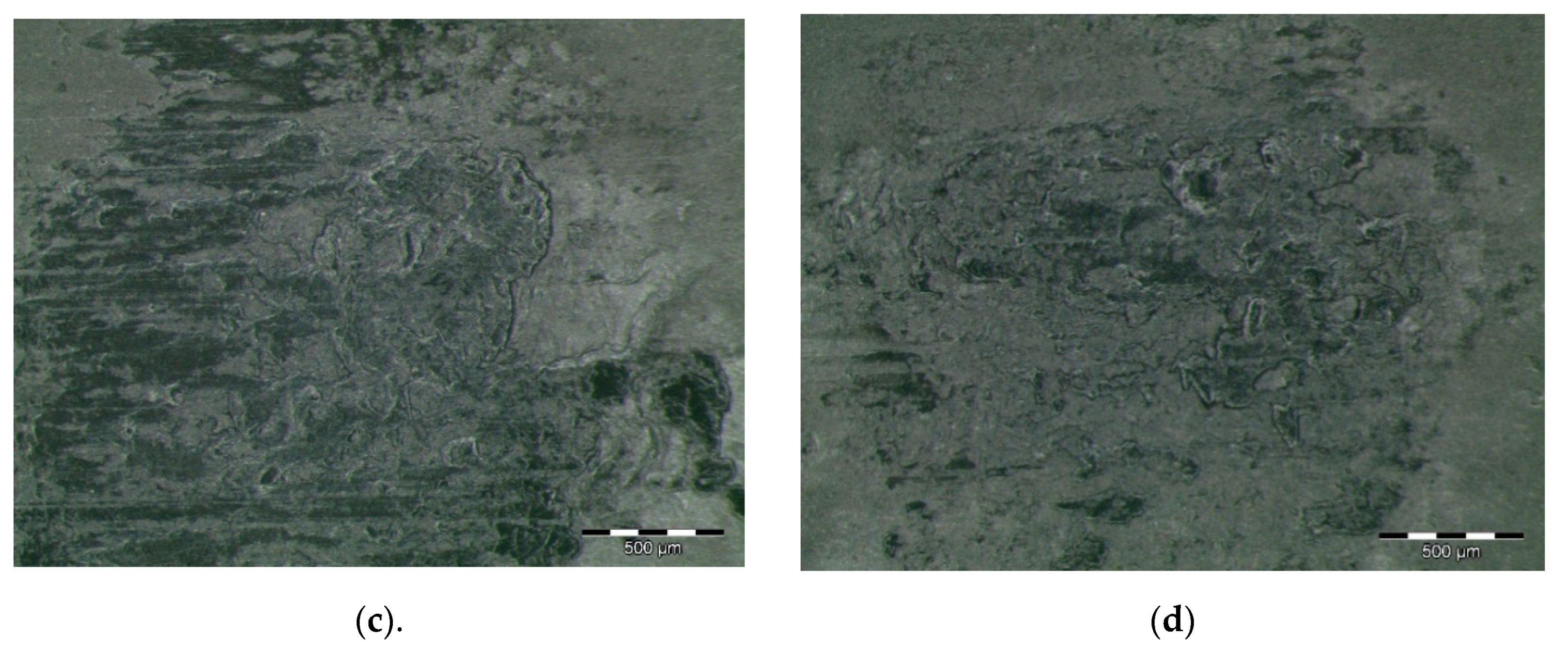 Polymers 12 02253 g003b Polymers 12 02253 g003b