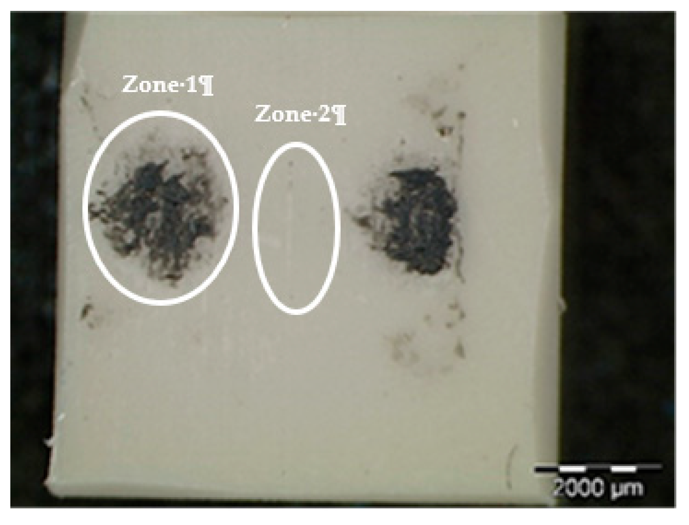 Polymers 12 02253 g012 Polymers 12 02253 g012