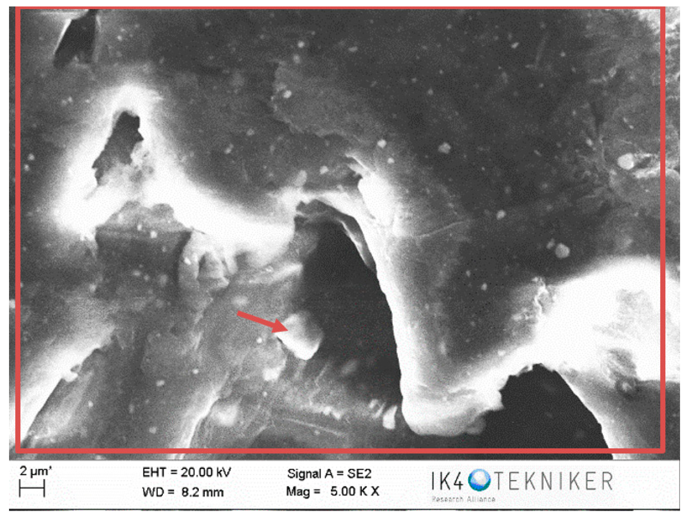 Polymers 12 02253 g013 Polymers 12 02253 g013