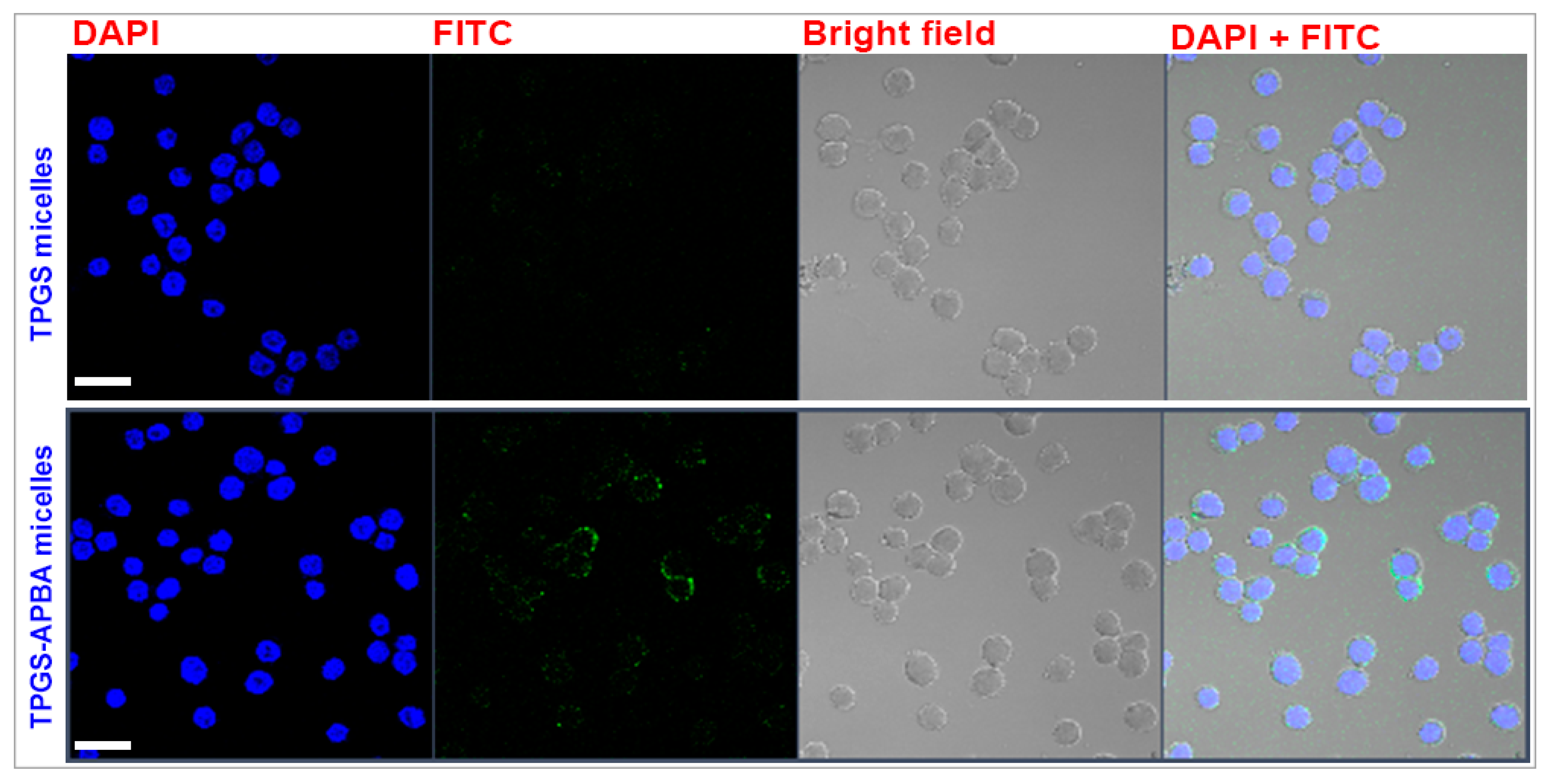 Polymers 12 02258 g006 Polymers 12 02258 g006
