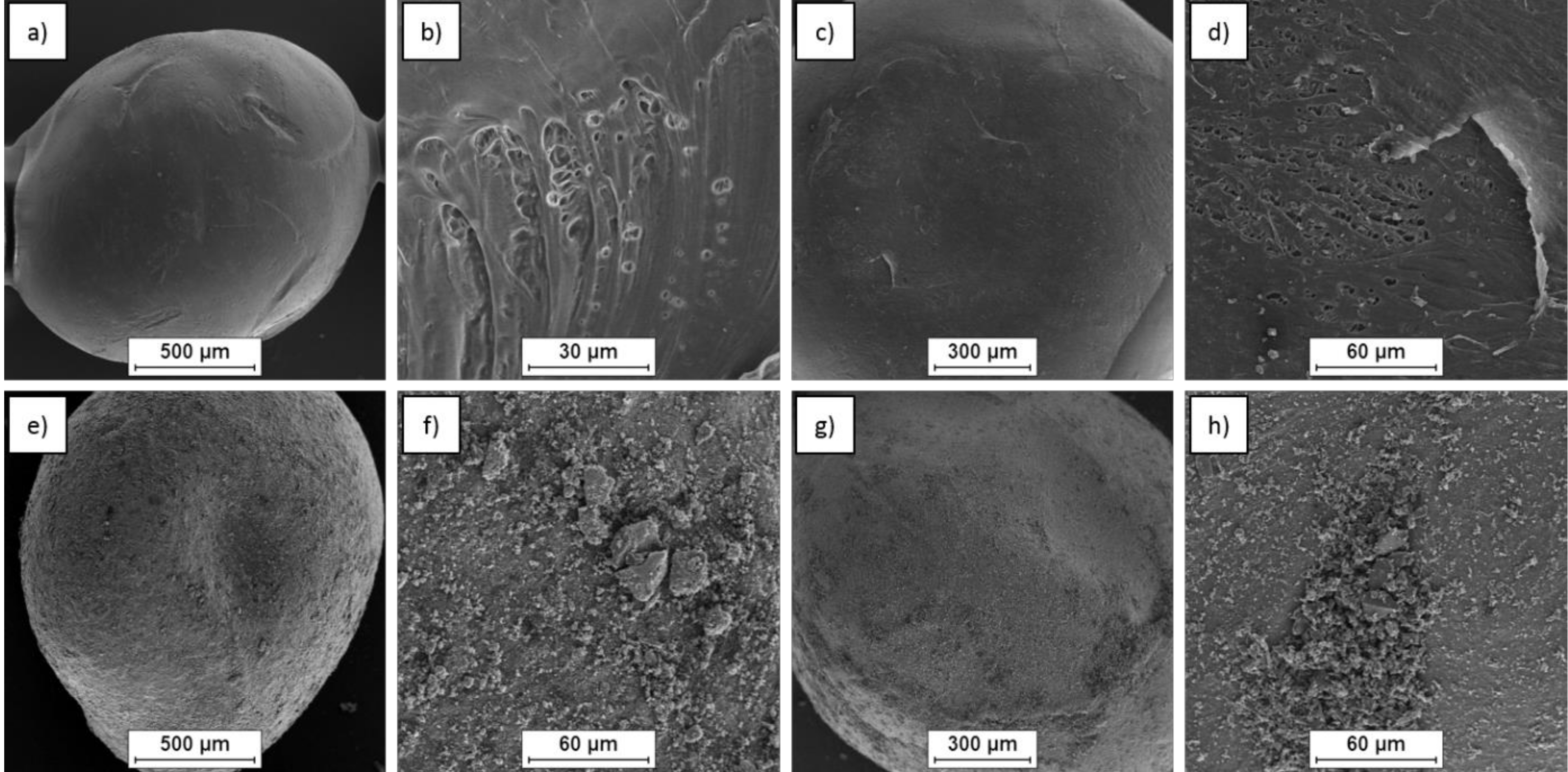 Polymers 12 02264 g003