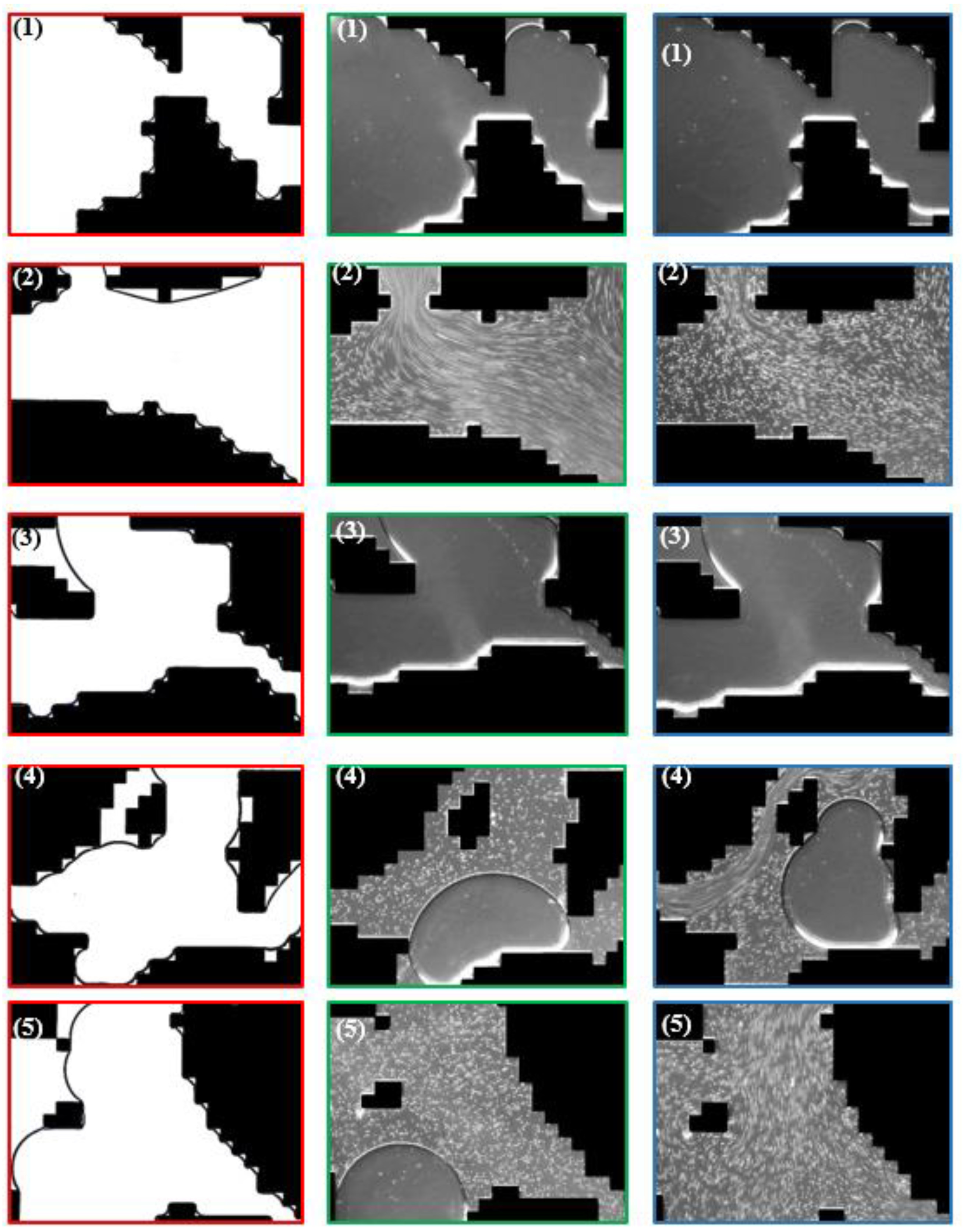 Polymers 12 02276 g021