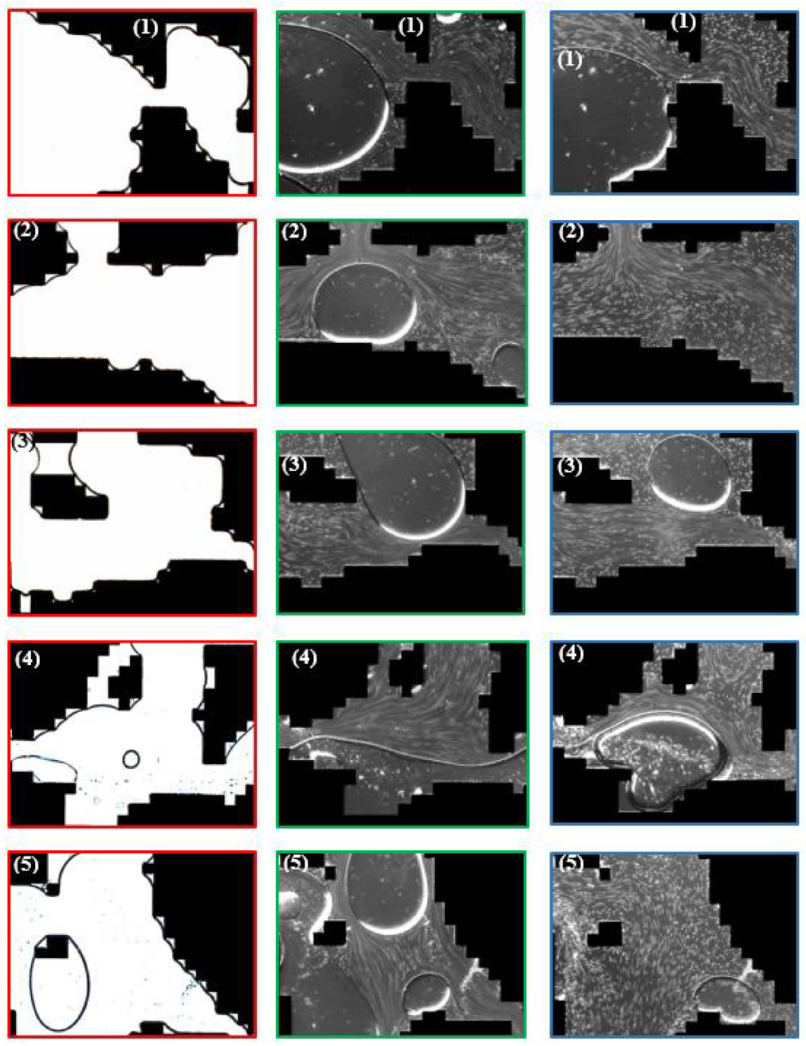 Polymers 12 02276 g022