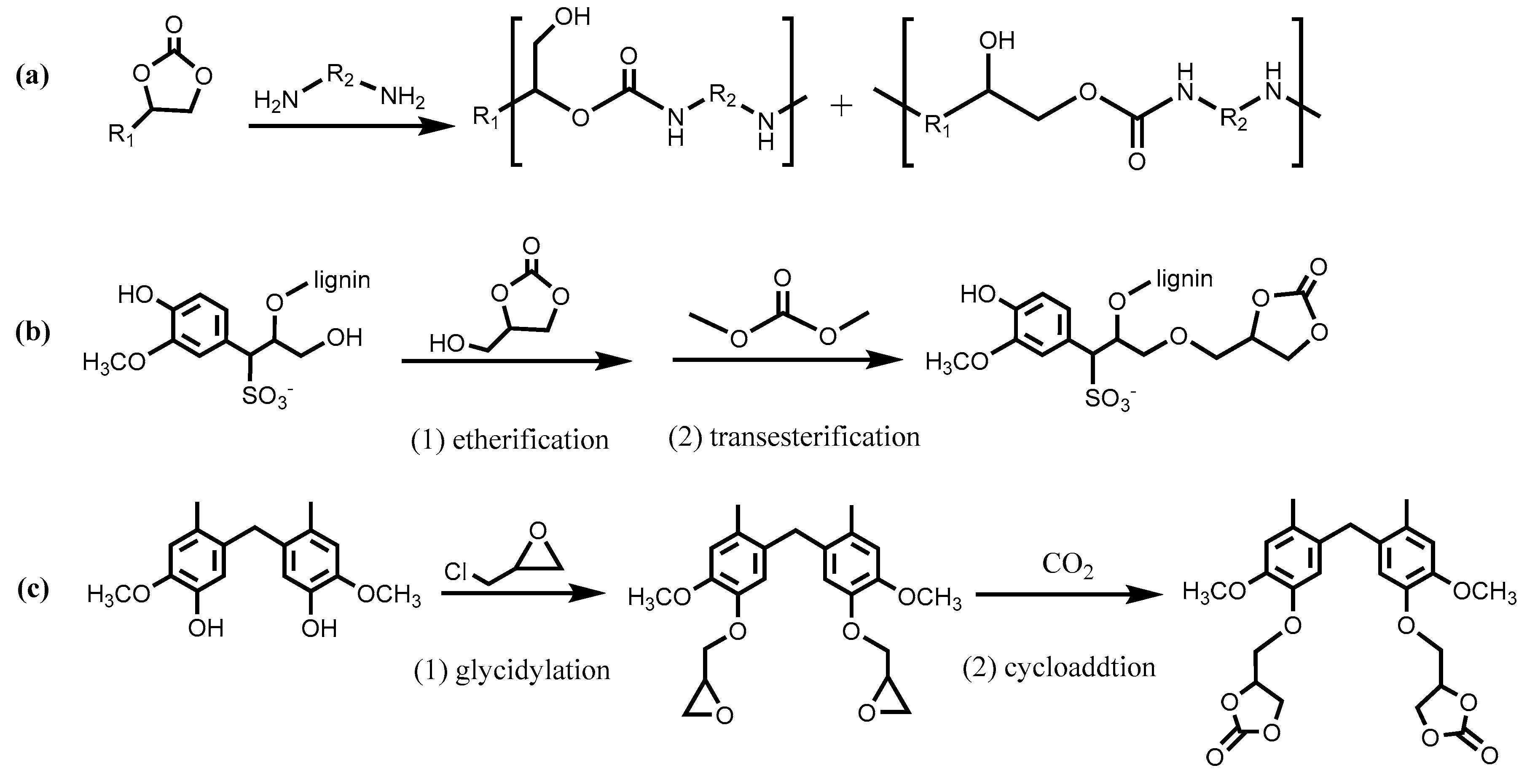 Polymers 12 02277 g003 Polymers 12 02277 g003