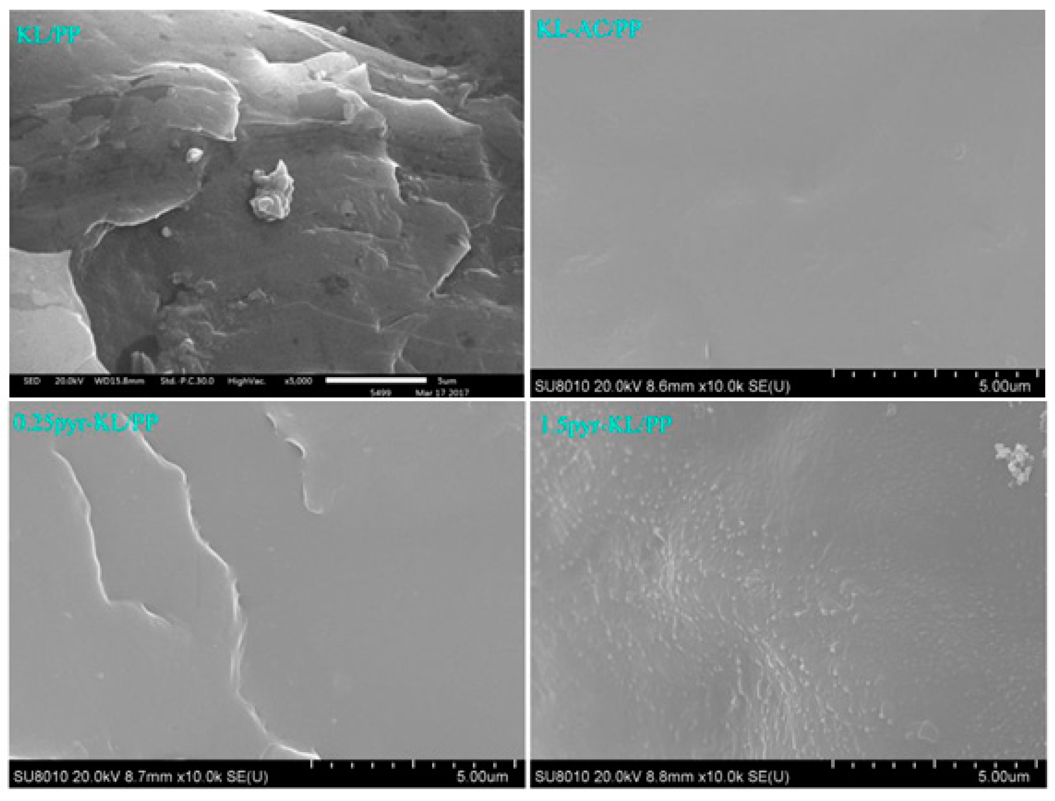 Polymers 12 02277 g008 Polymers 12 02277 g008