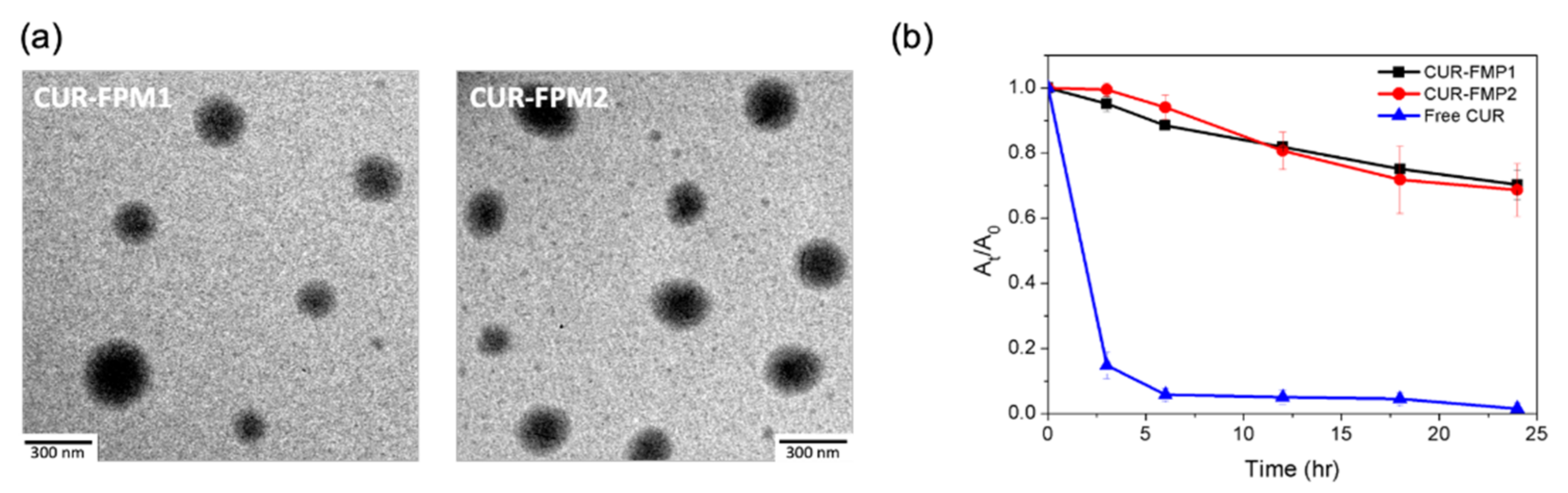 Polymers 12 02280 g001