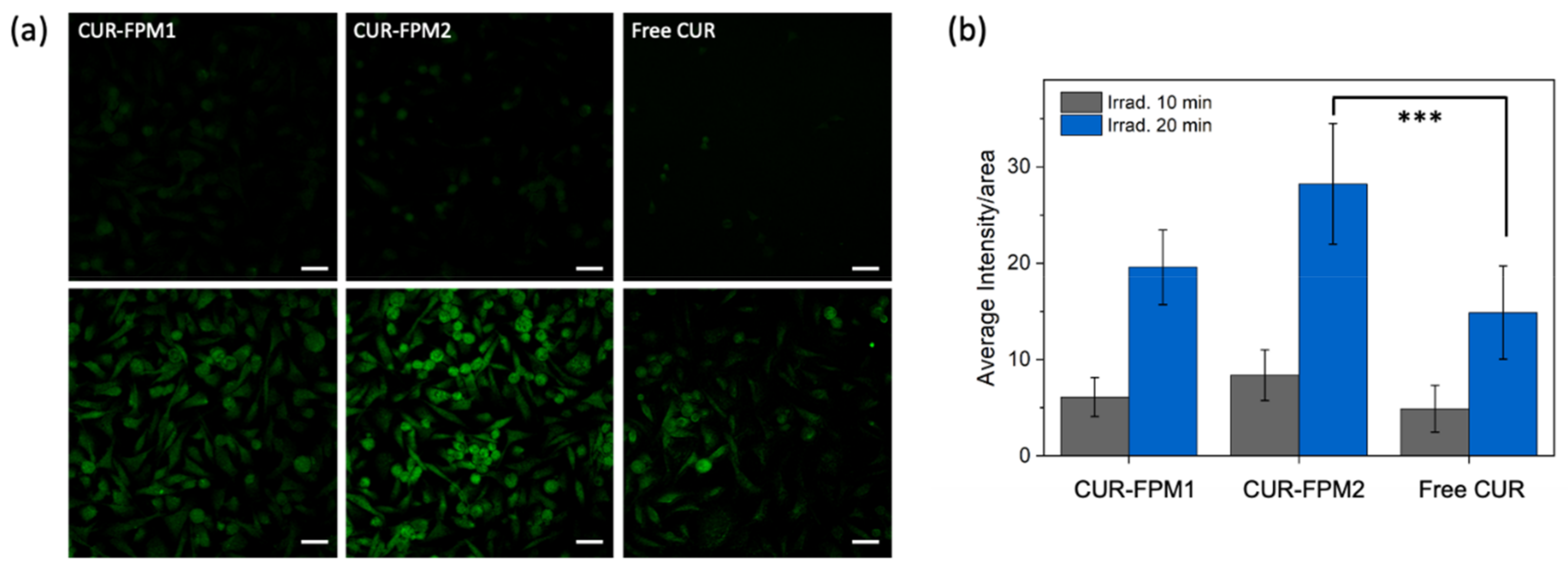 Polymers 12 02280 g003