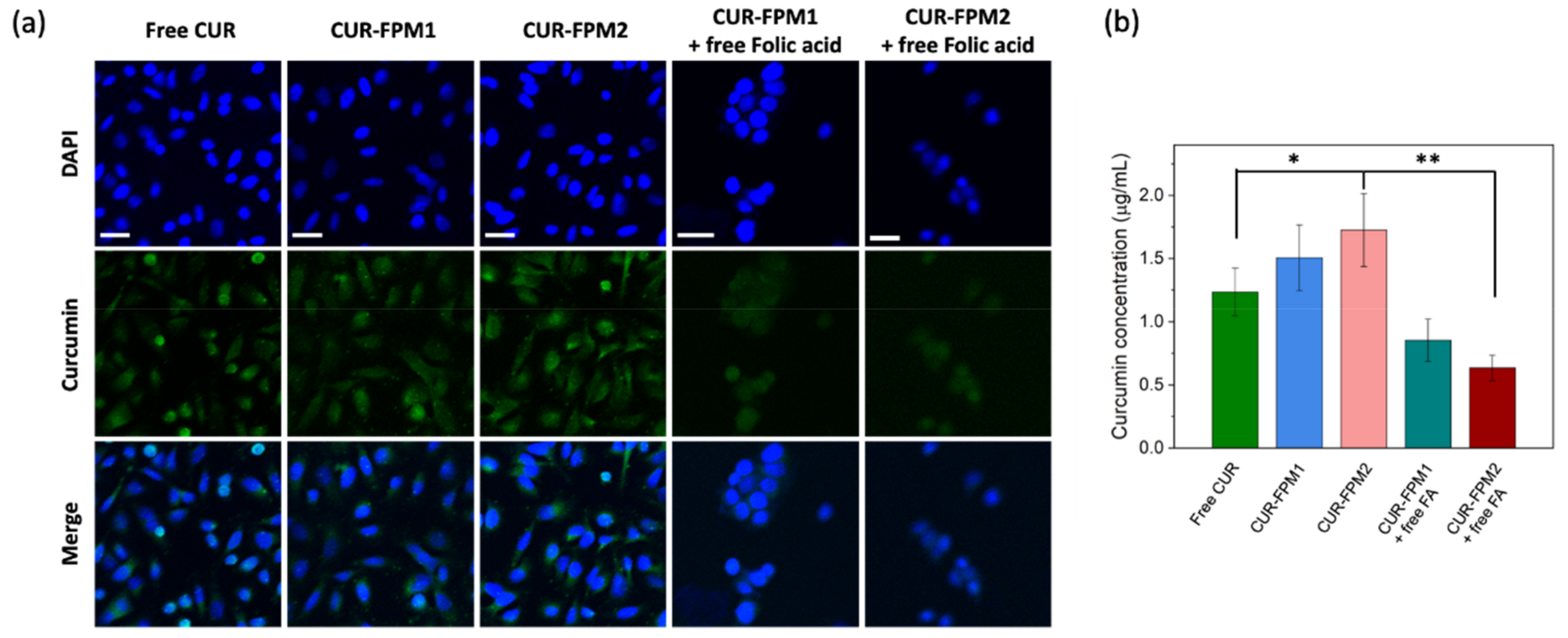 Polymers 12 02280 g005