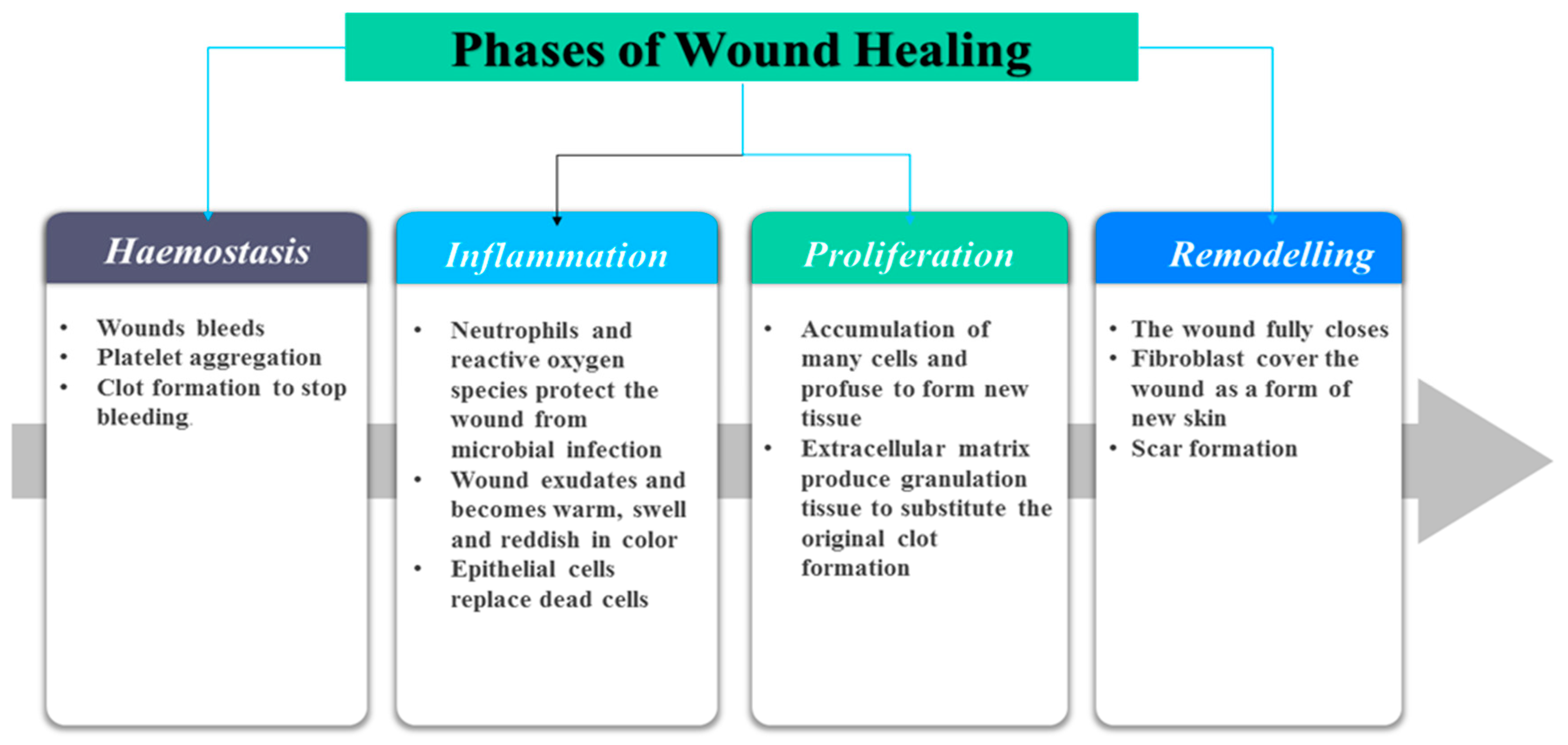 Polymers 12 02286 g001