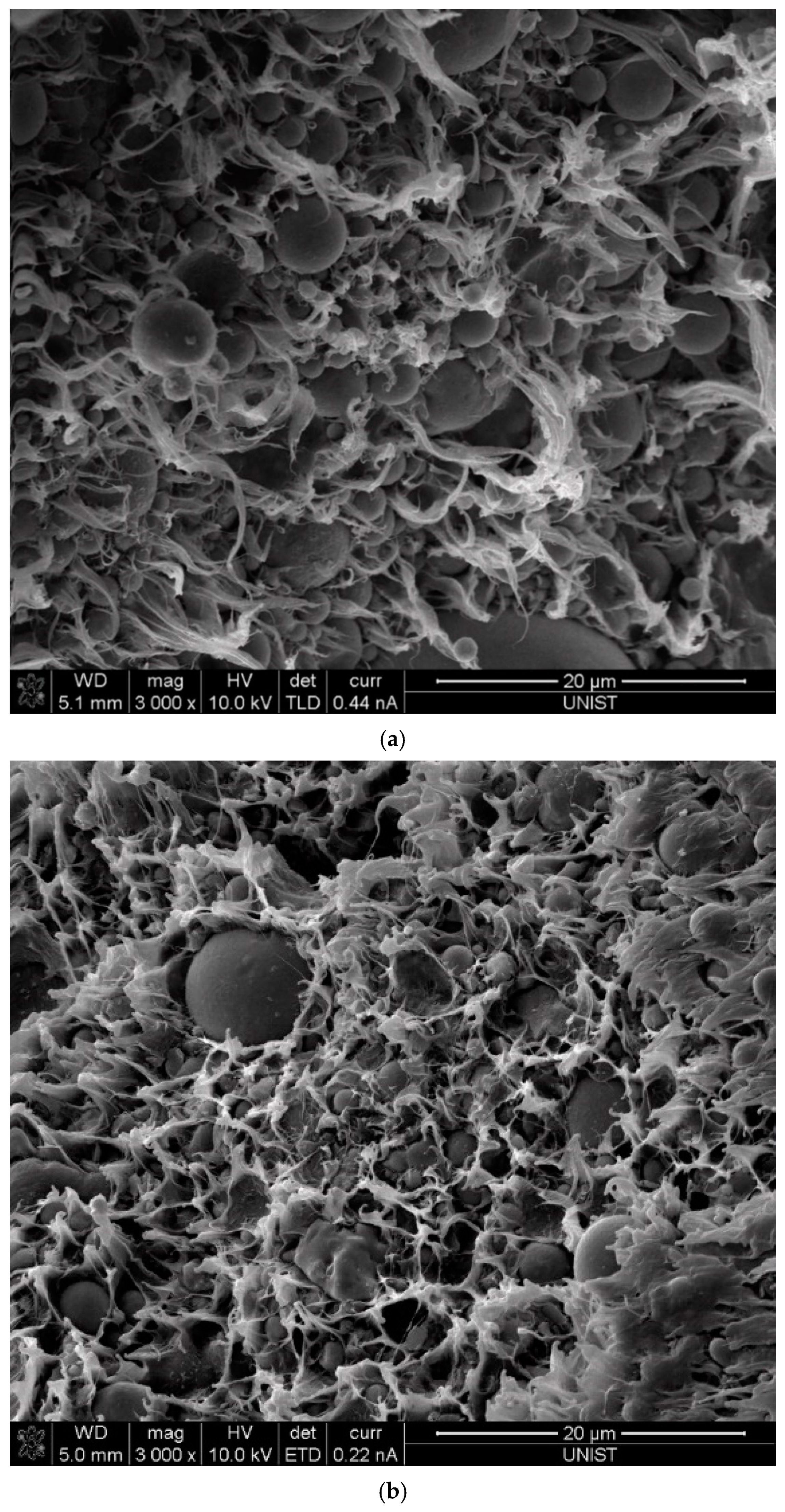 Polymers 12 02287 g009 Polymers 12 02287 g009