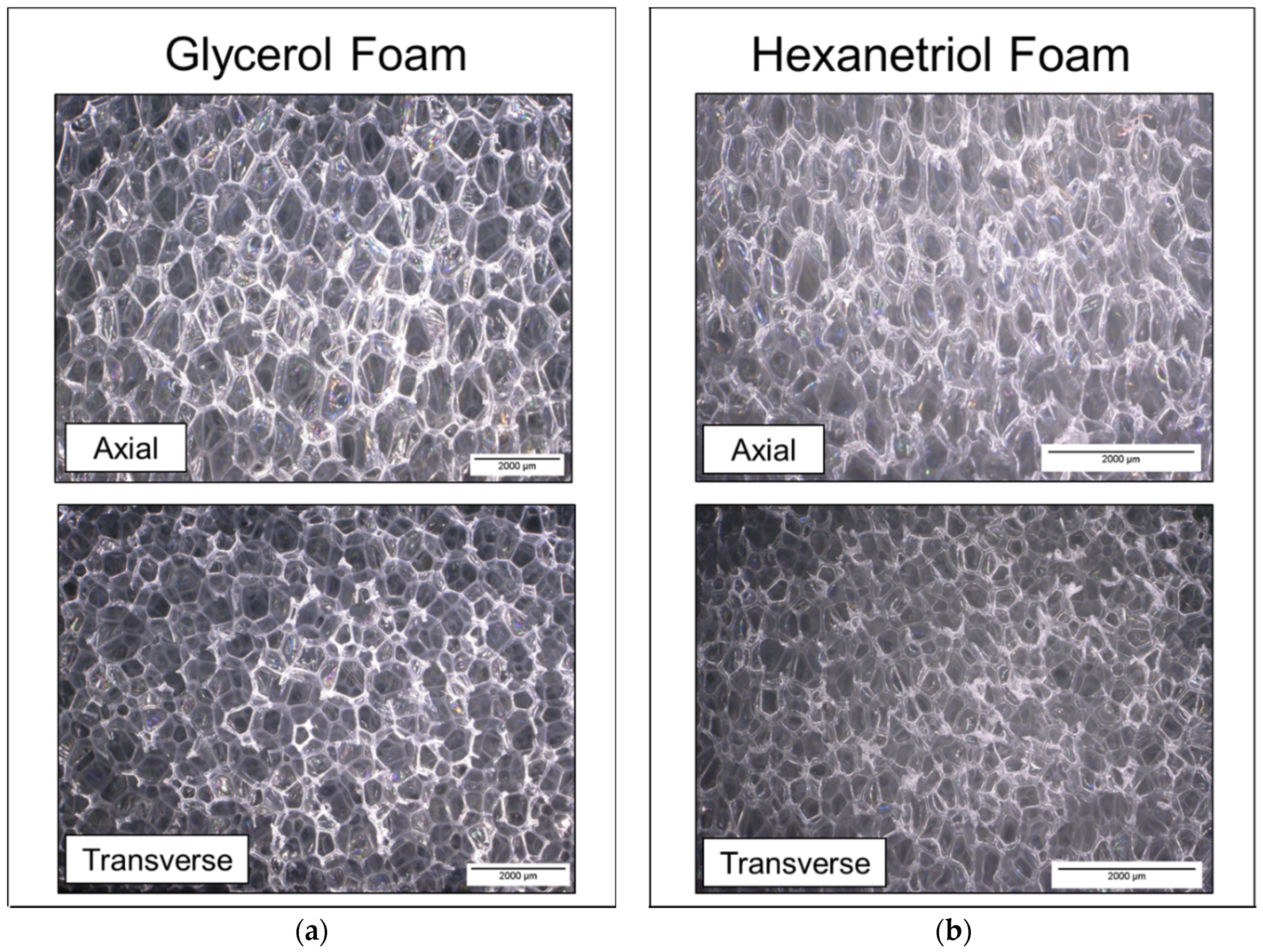 Polymers 12 02290 g002