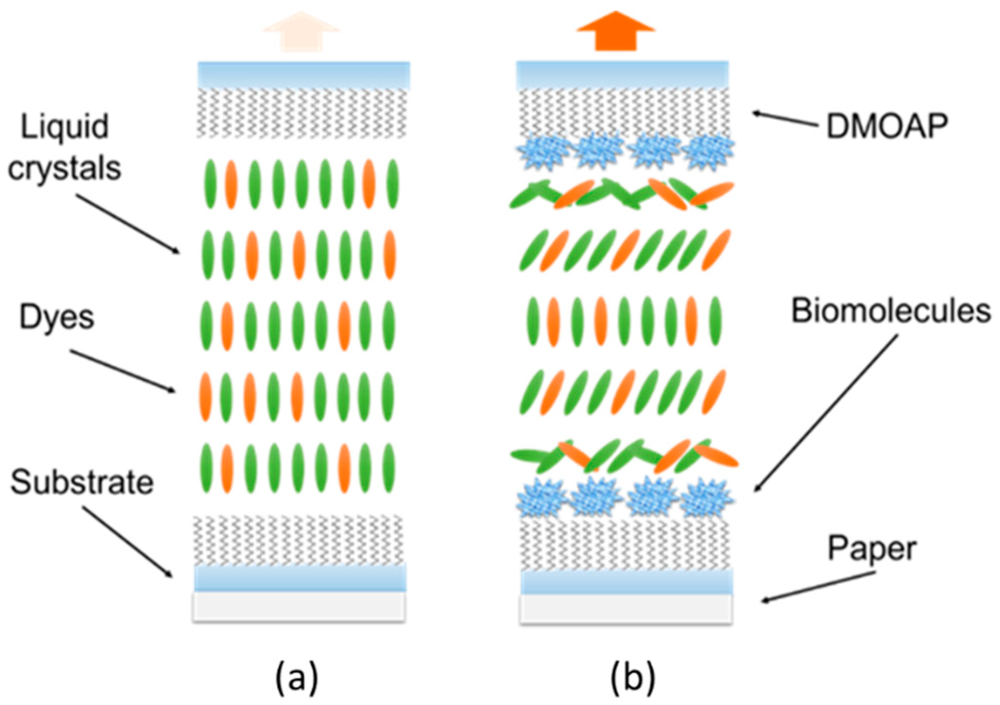 Polymers 12 02294 g003
