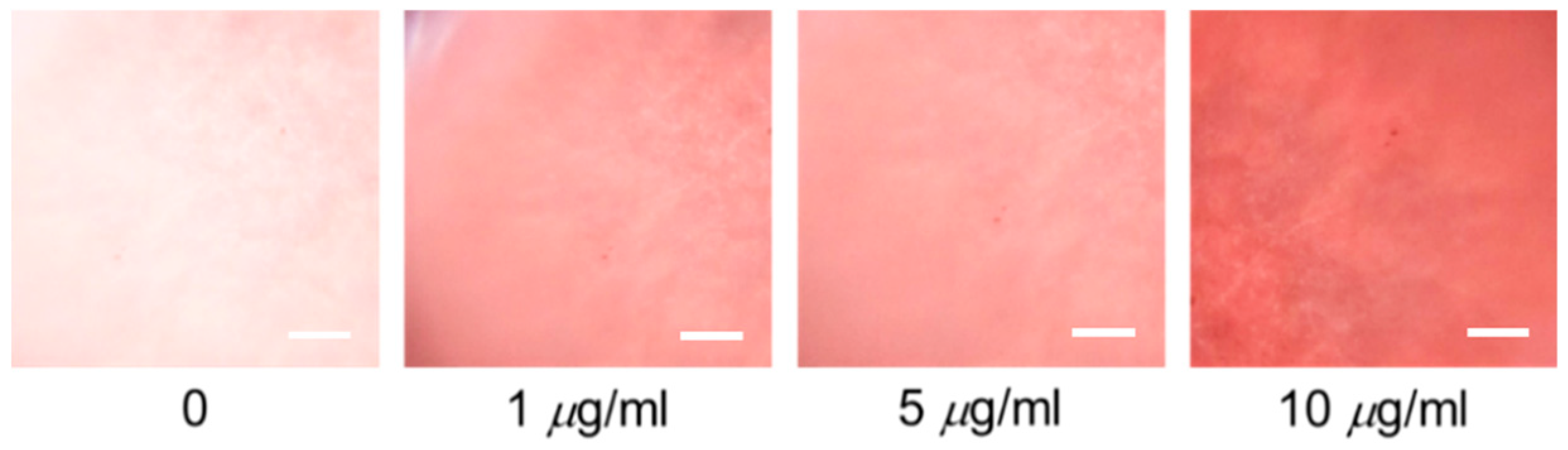 Polymers 12 02294 g005