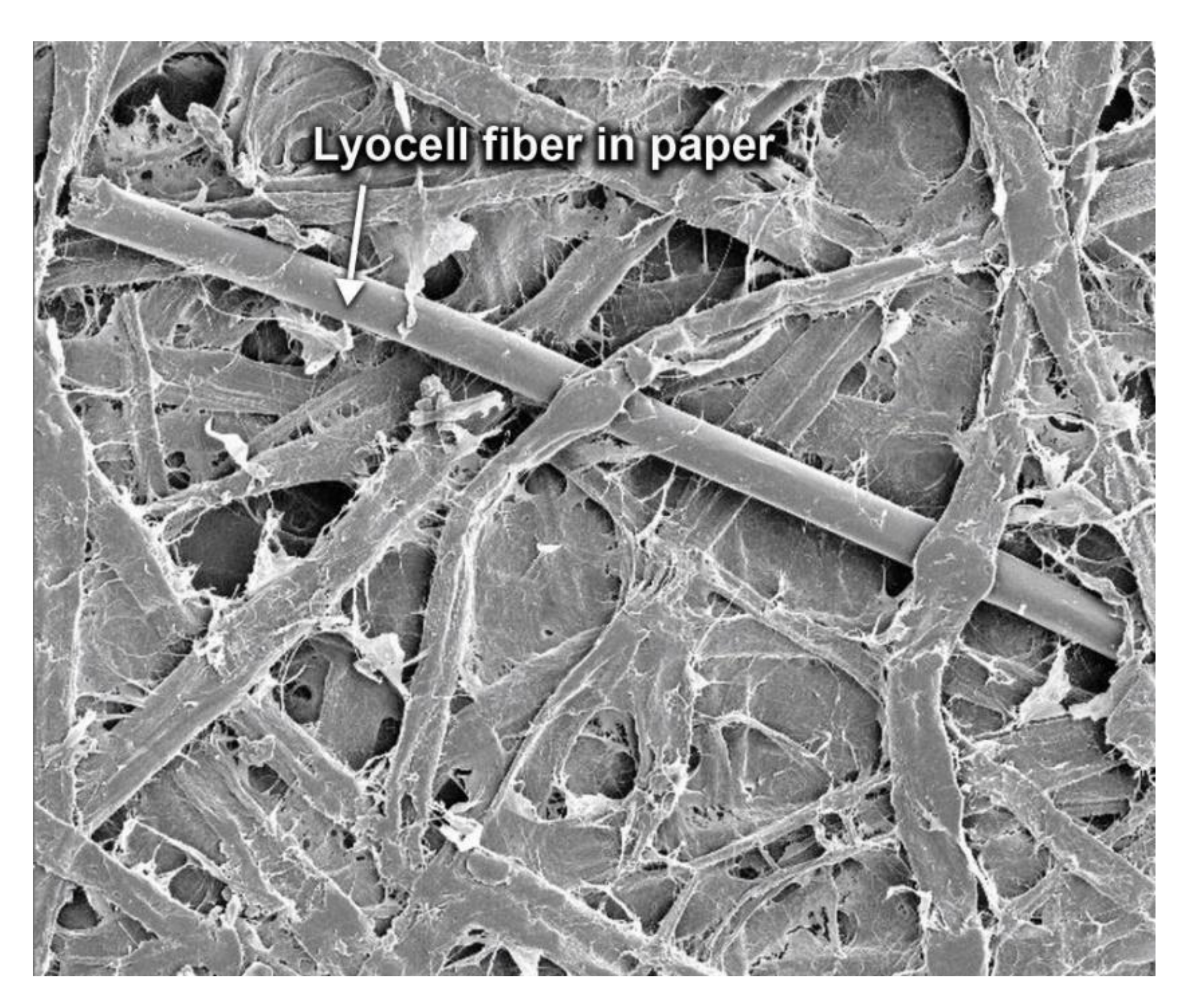 Polymers 12 02296 g005 Polymers 12 02296 g005