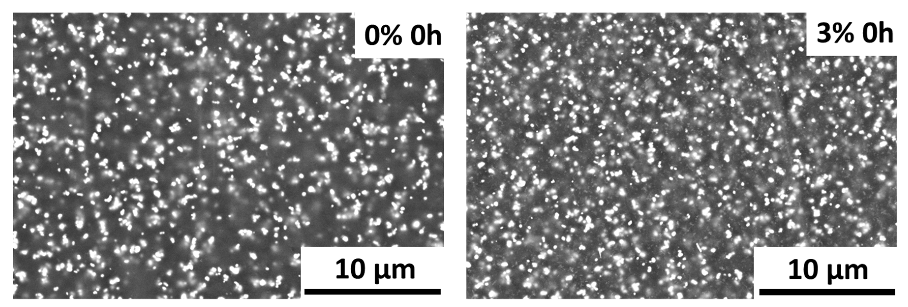 Polymers 12 02298 g004 Polymers 12 02298 g004