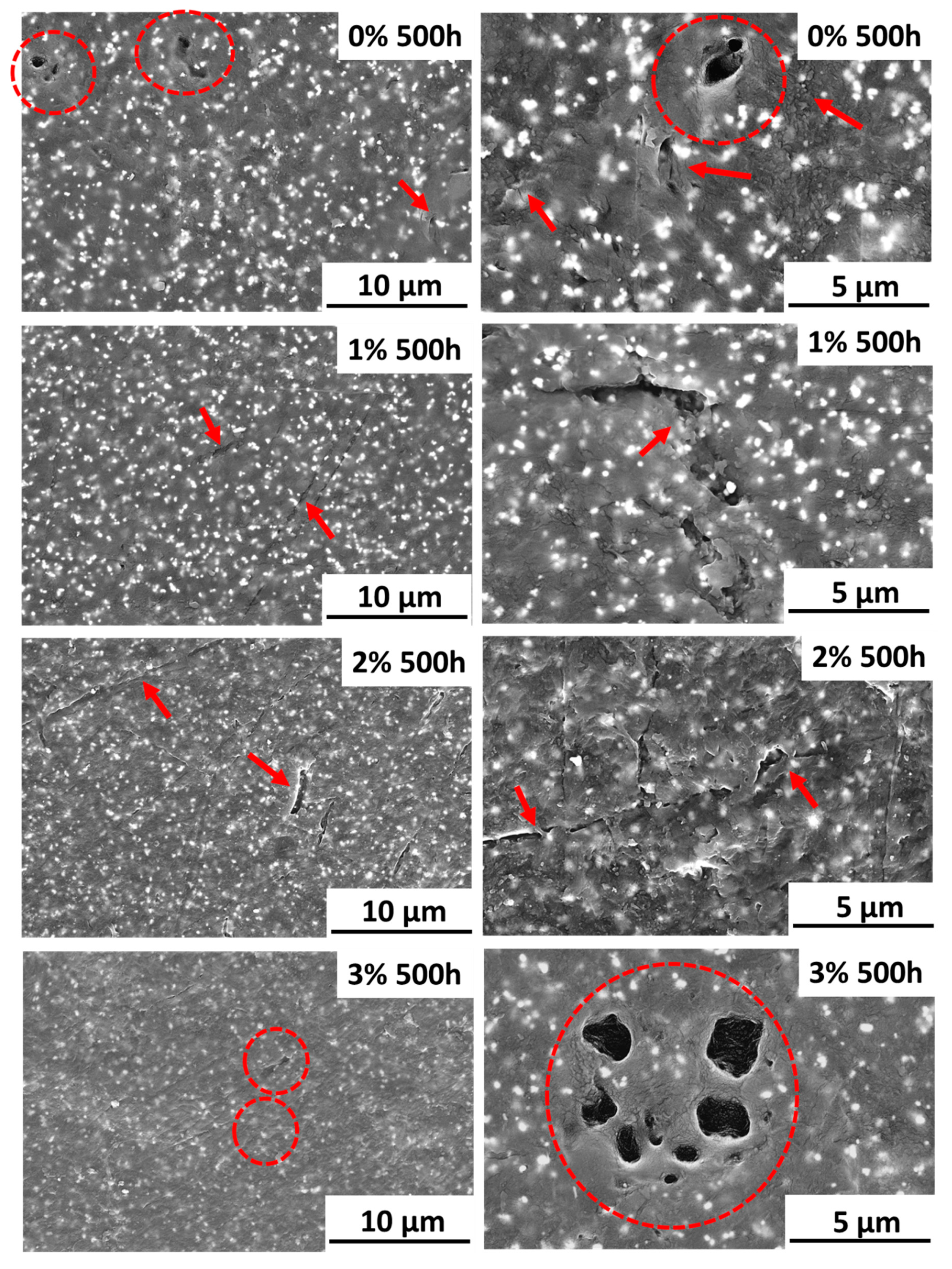 Polymers 12 02298 g005 Polymers 12 02298 g005