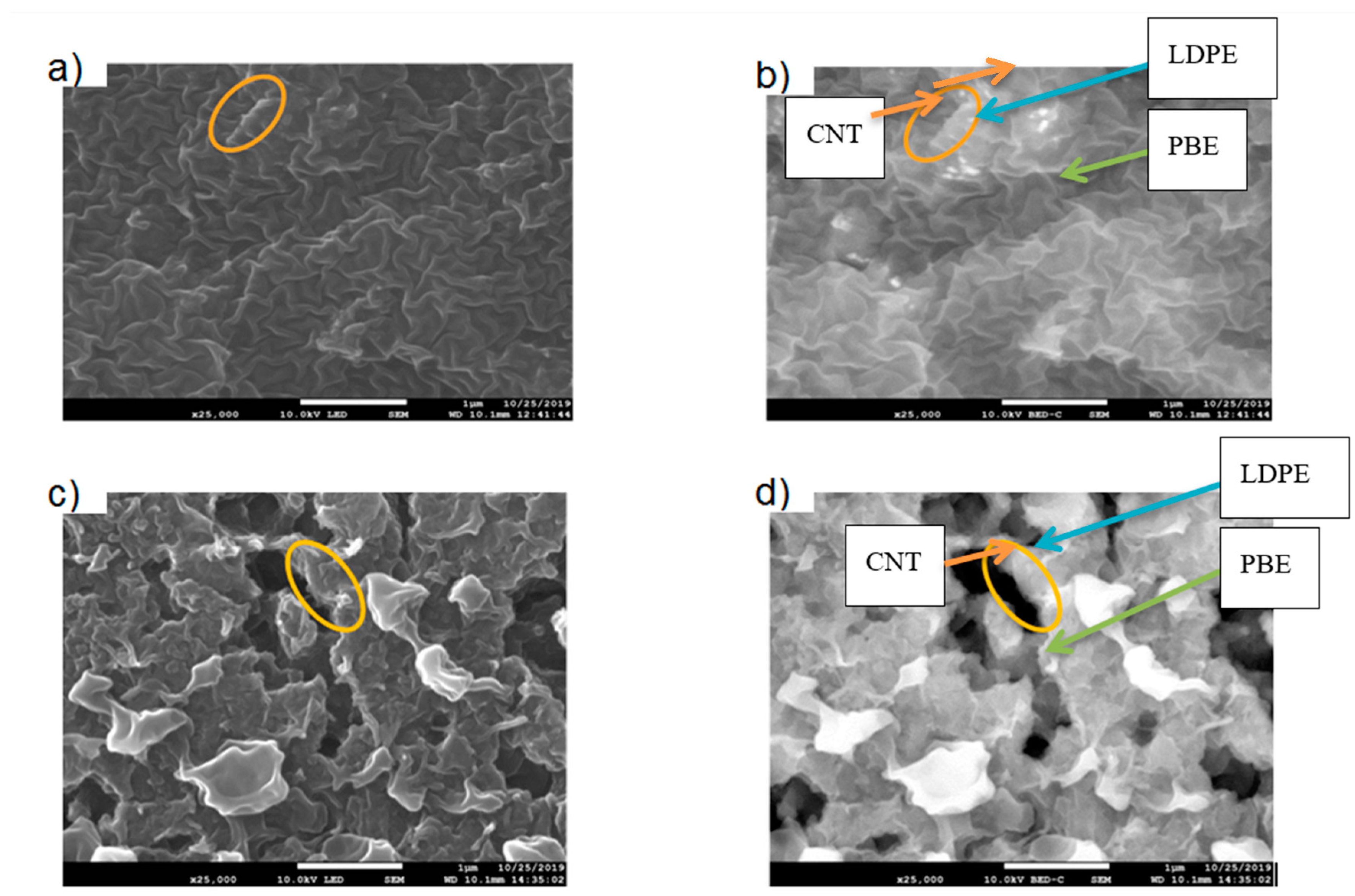 Polymers 12 02300 g006 Polymers 12 02300 g006