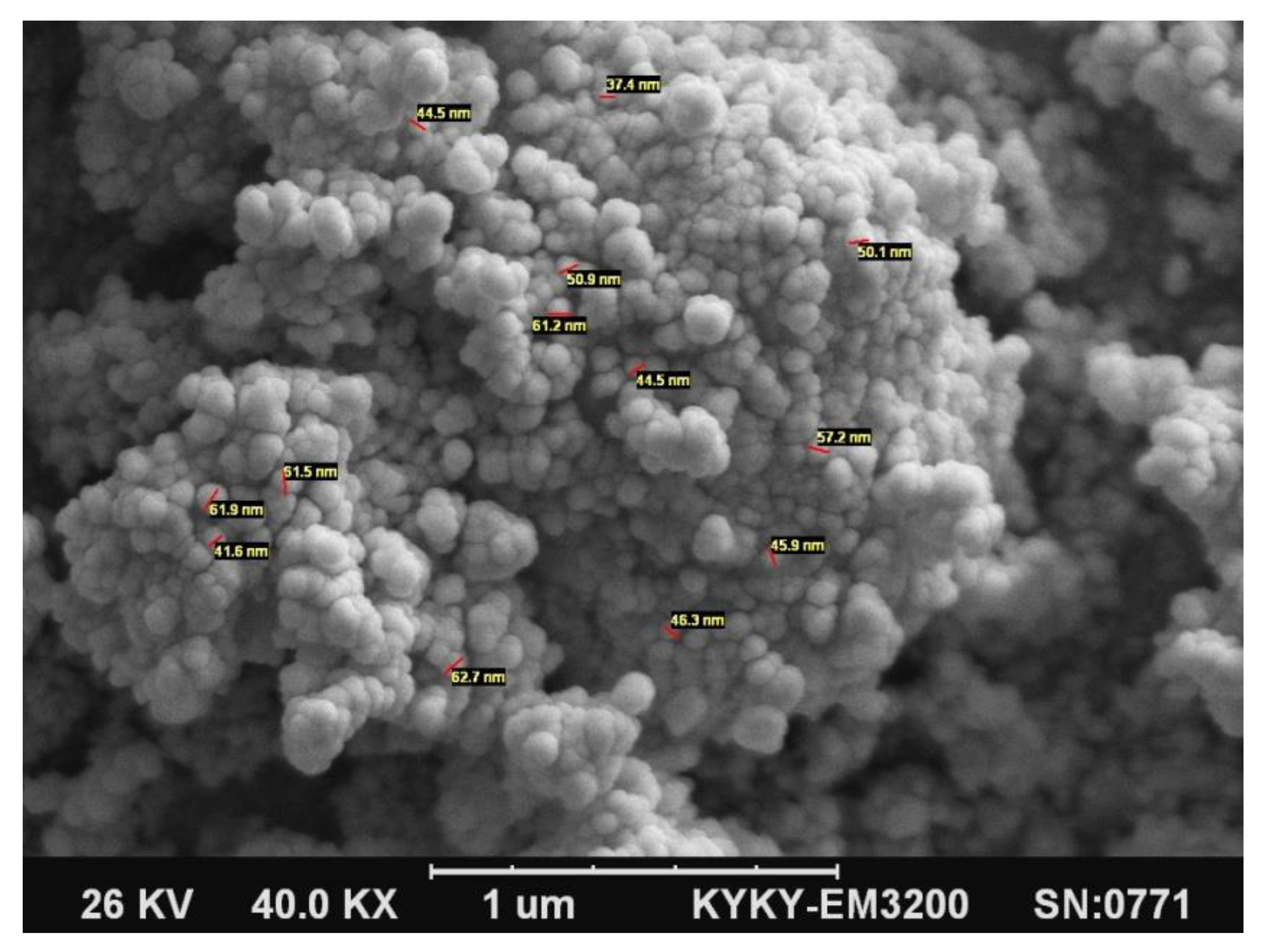 Polymers 12 02308 g001