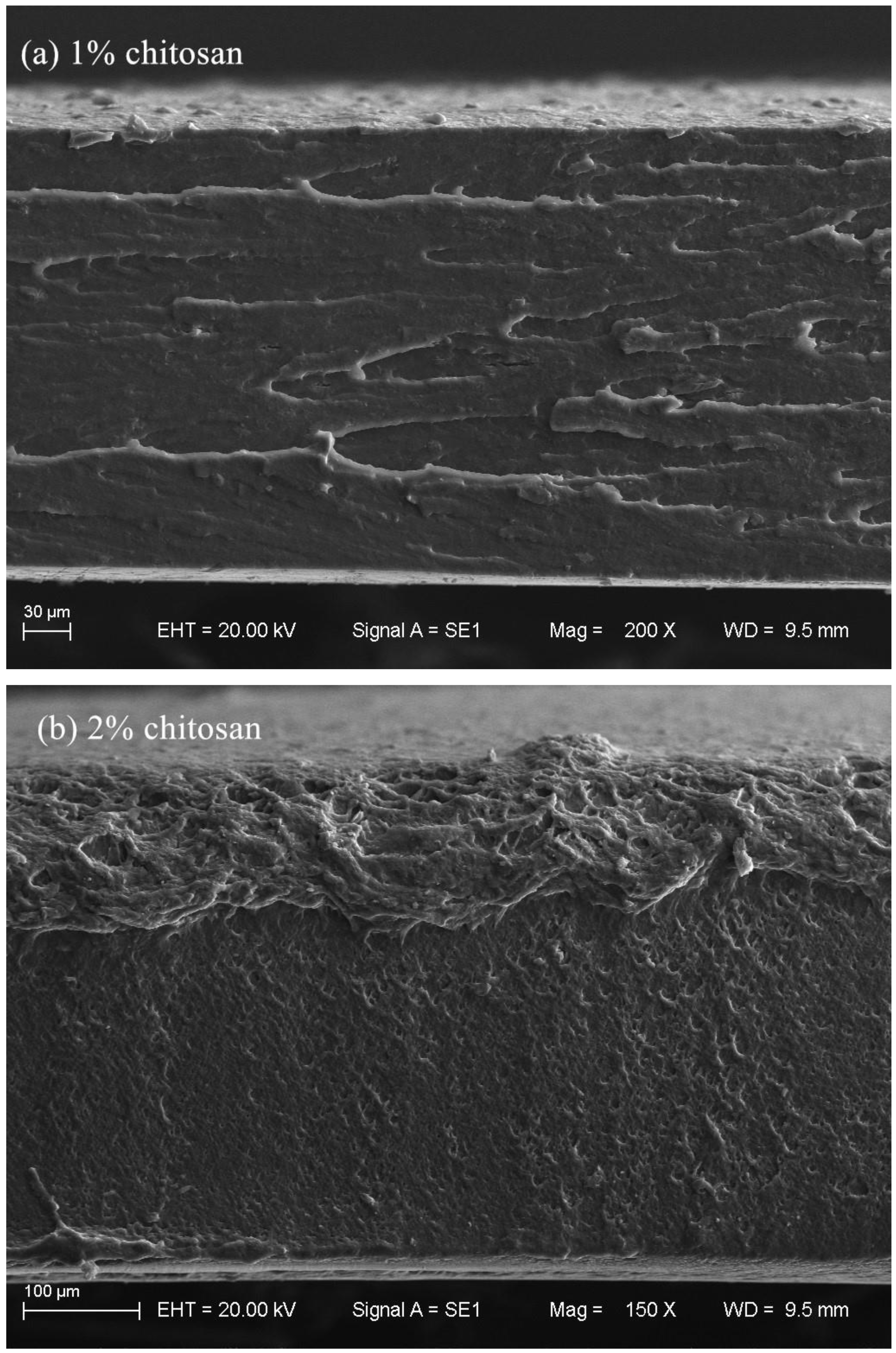 Polymers 12 02310 g006a Polymers 12 02310 g006a