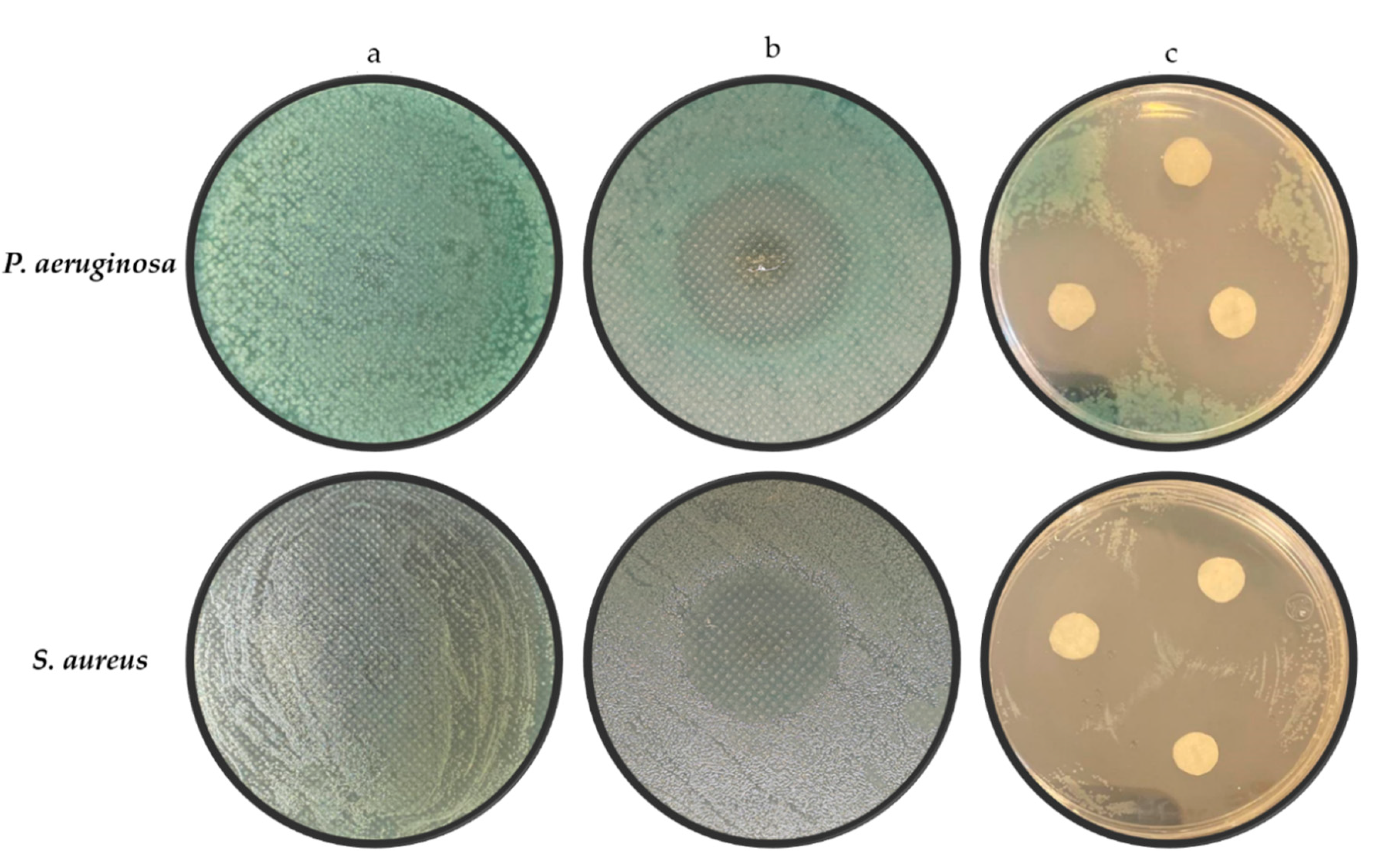 Polymers 12 02311 g007