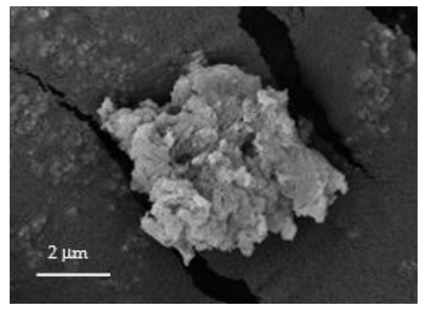 Polymers 12 02312 g001 Polymers 12 02312 g001