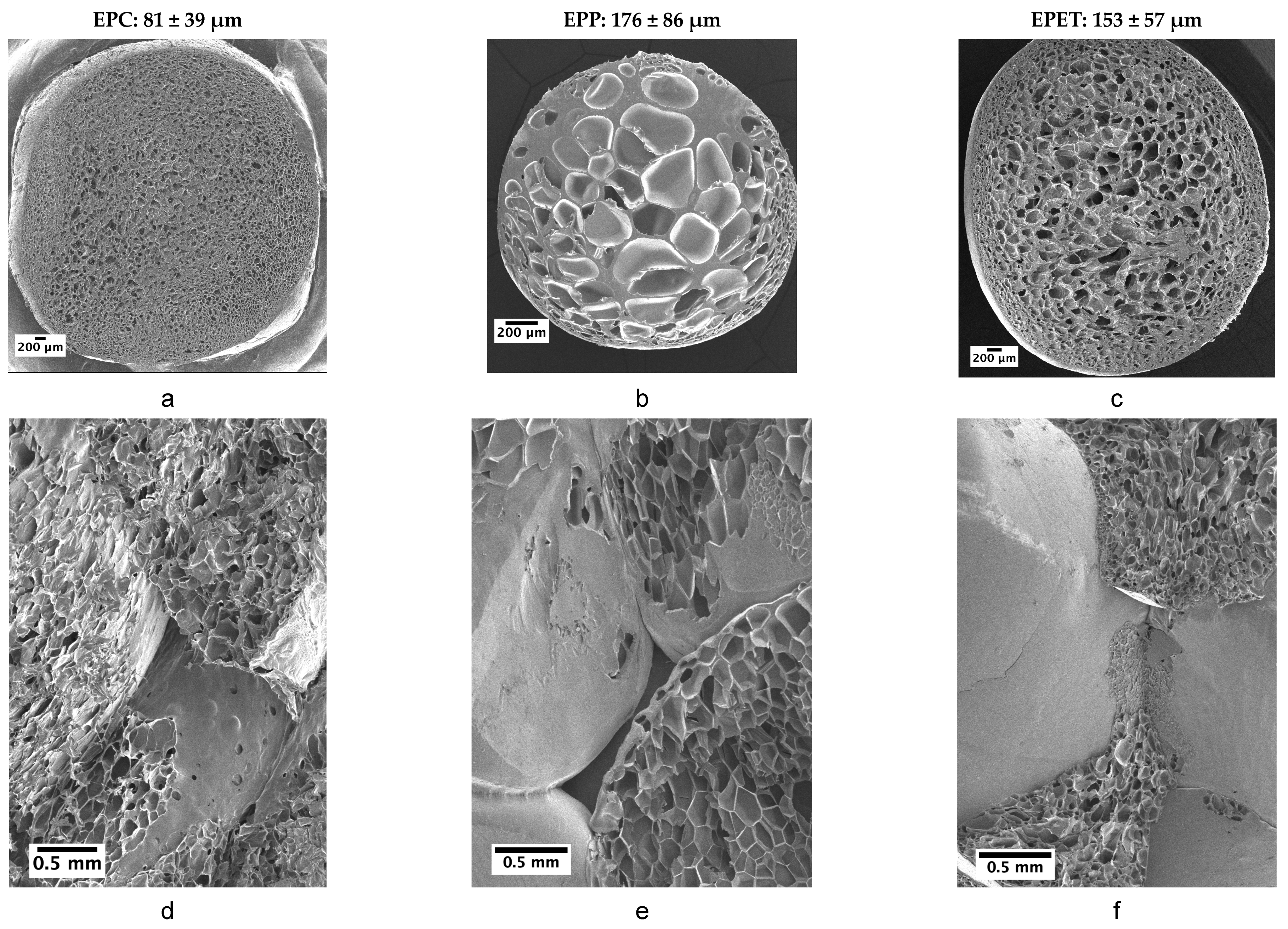 Polymers 12 02314 g002 Polymers 12 02314 g002