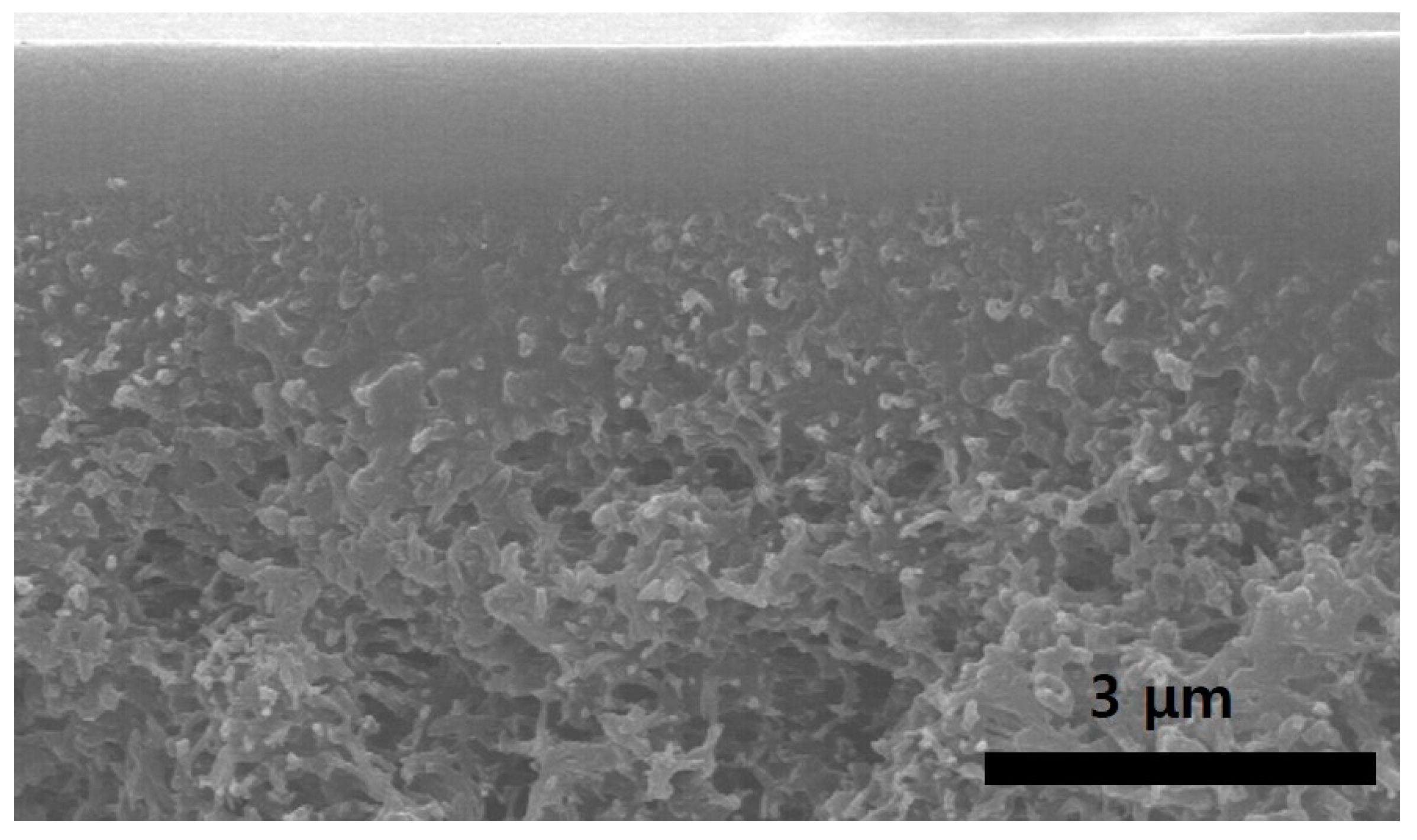 Polymers 12 02316 g001