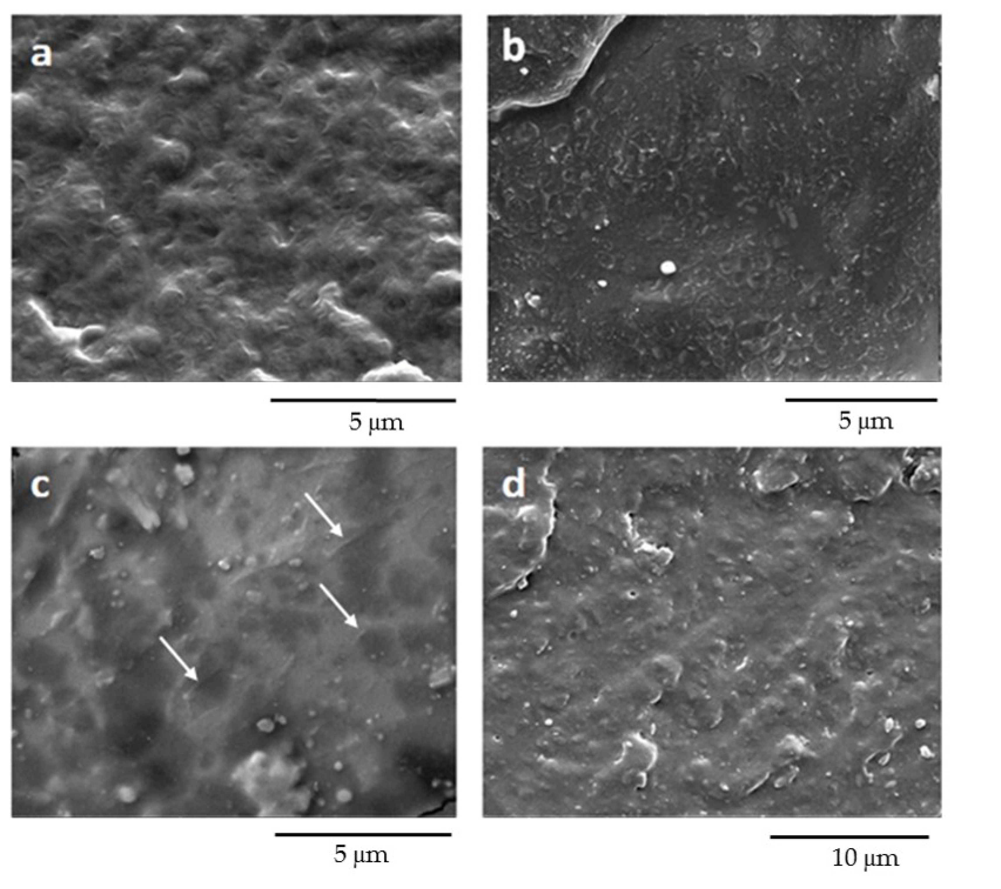 Polymers 12 02317 g006