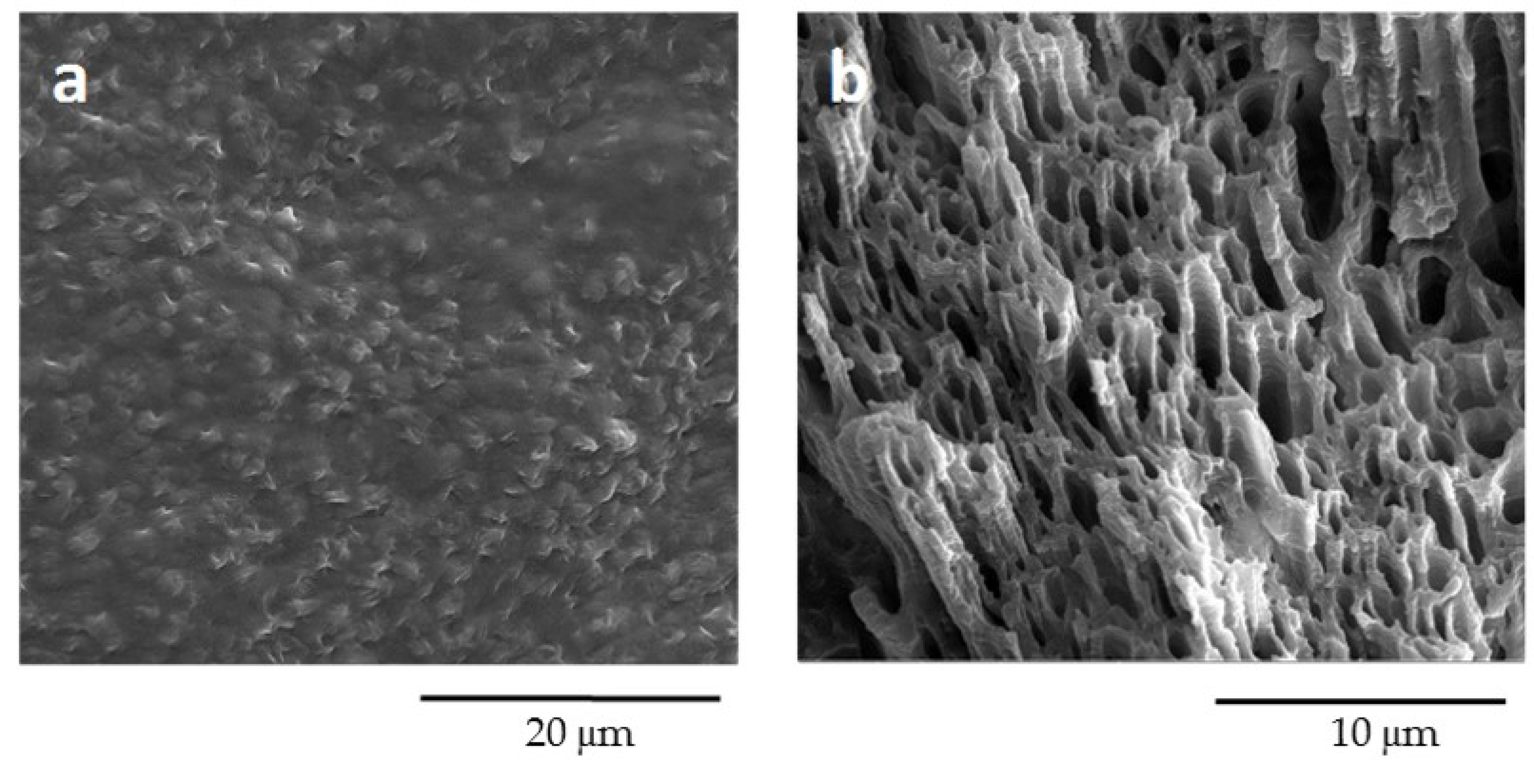 Polymers 12 02317 g007