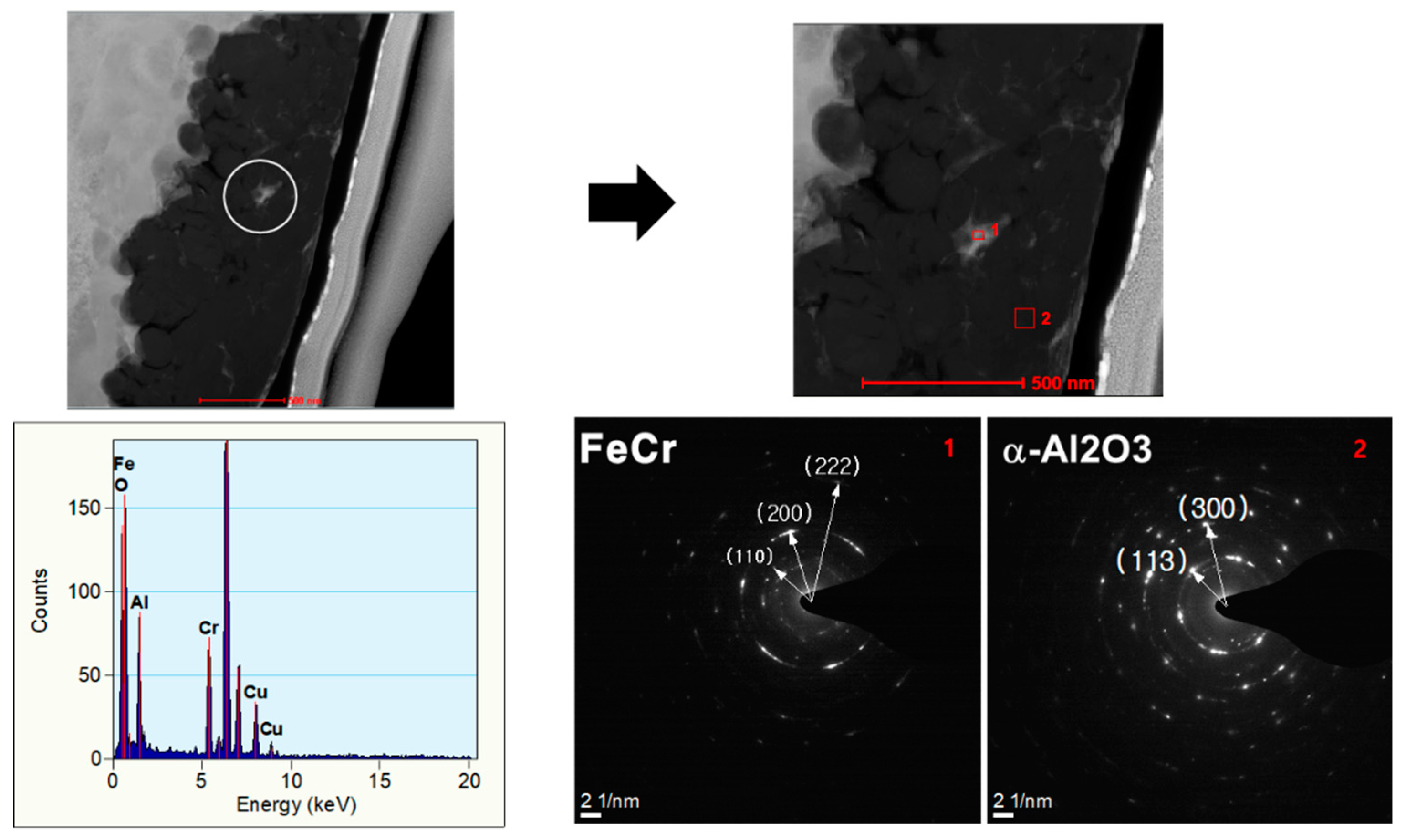 Polymers 12 02318 g007