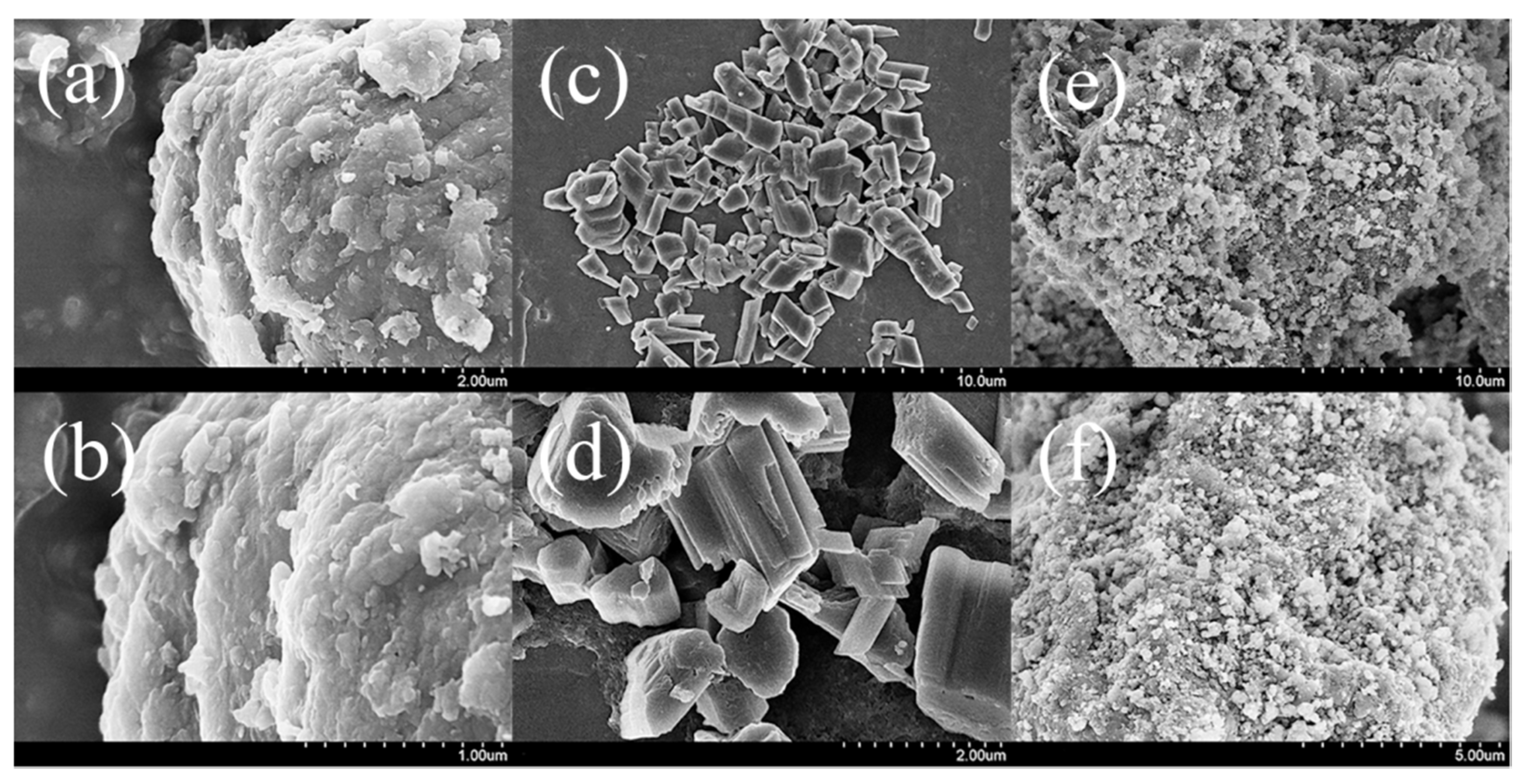 Polymers 12 02323 g003