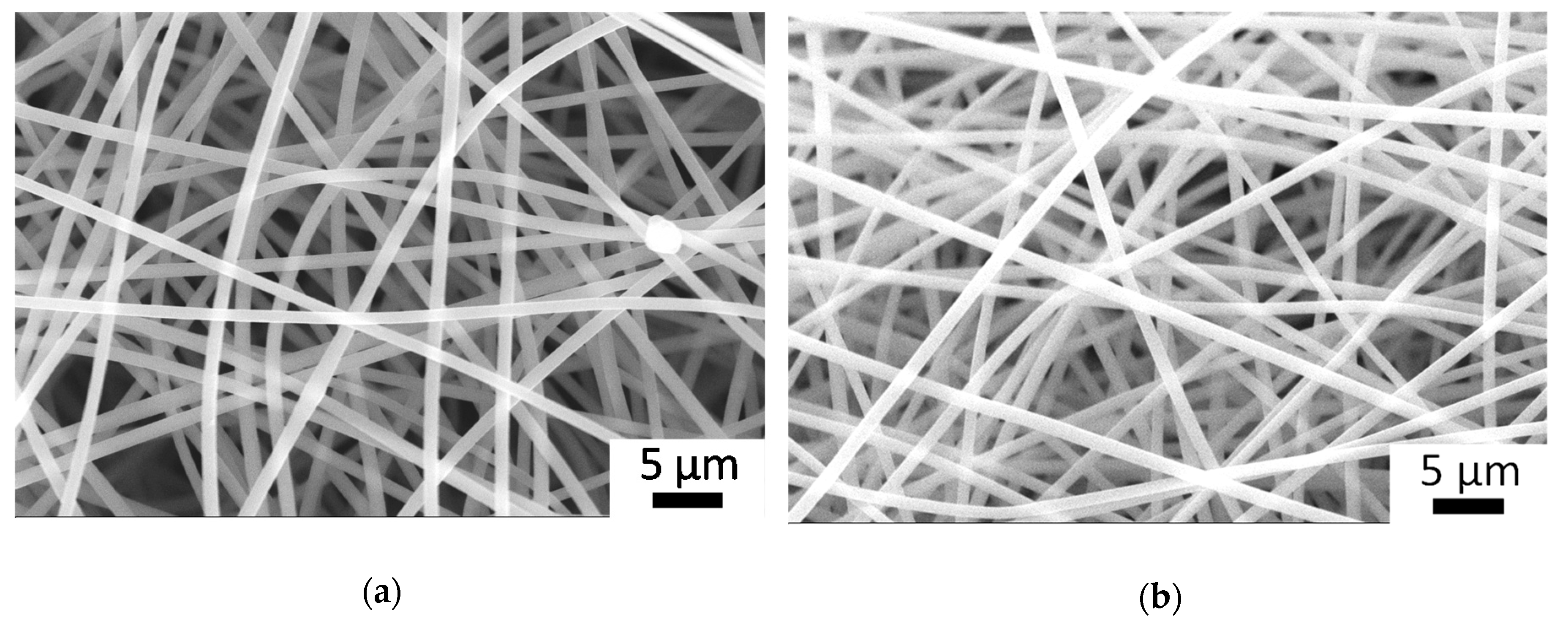 Polymers 12 02324 g002