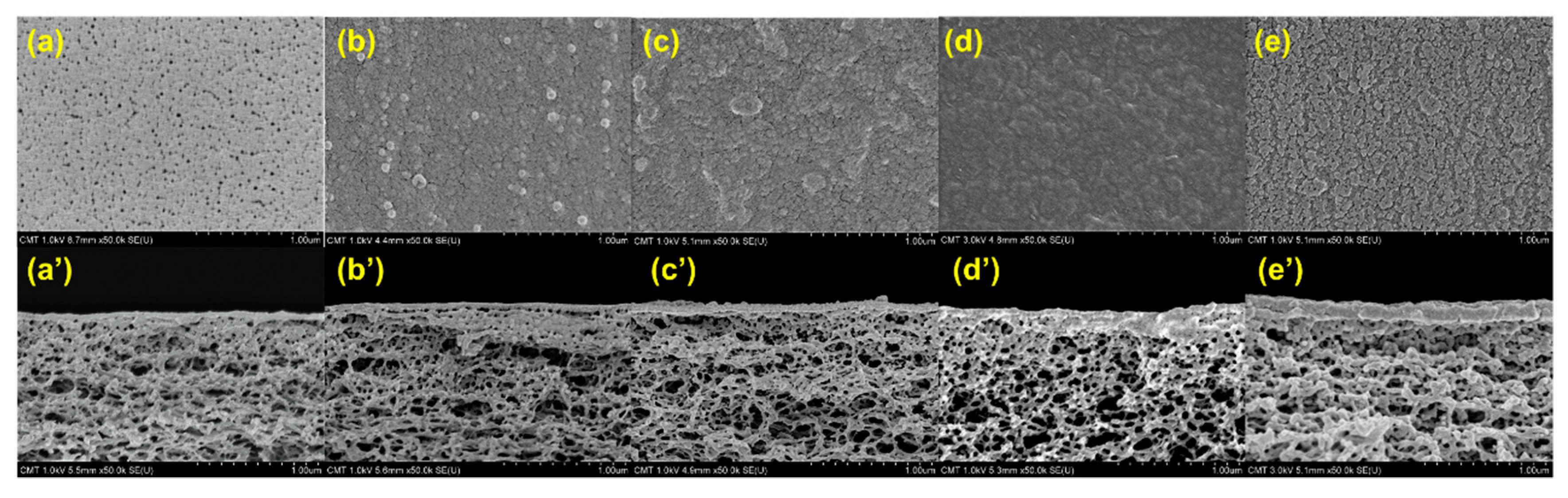 Polymers 12 02326 g003