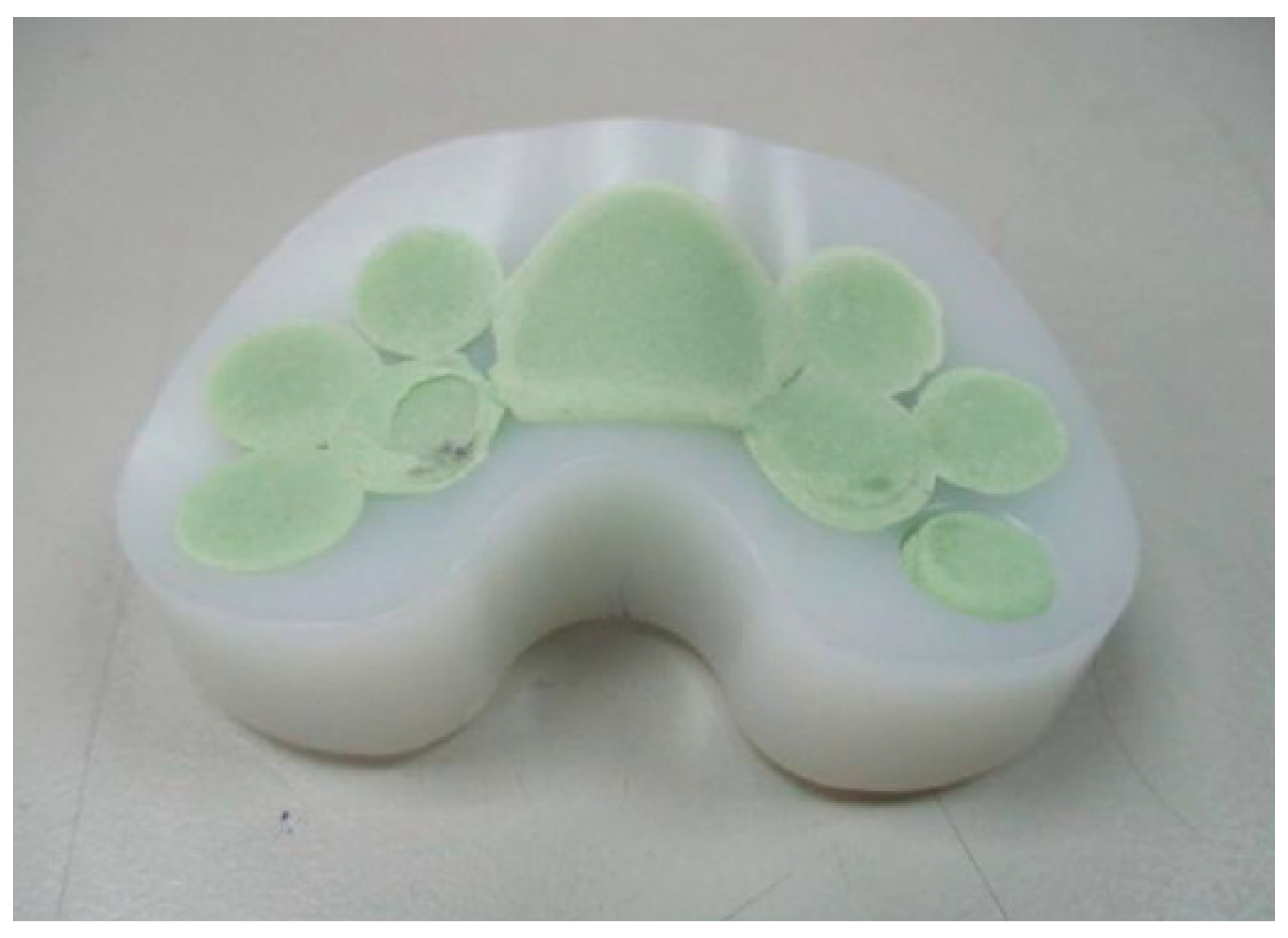 Polymers 12 02334 g009